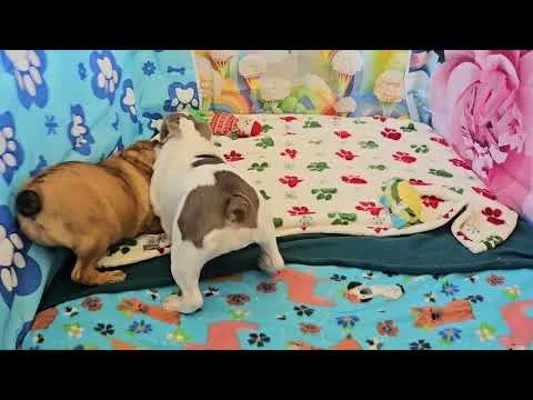 BROOKLYN & ABIGAIL PLAYING TIME