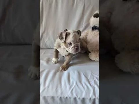 Jasmine 9/8/25