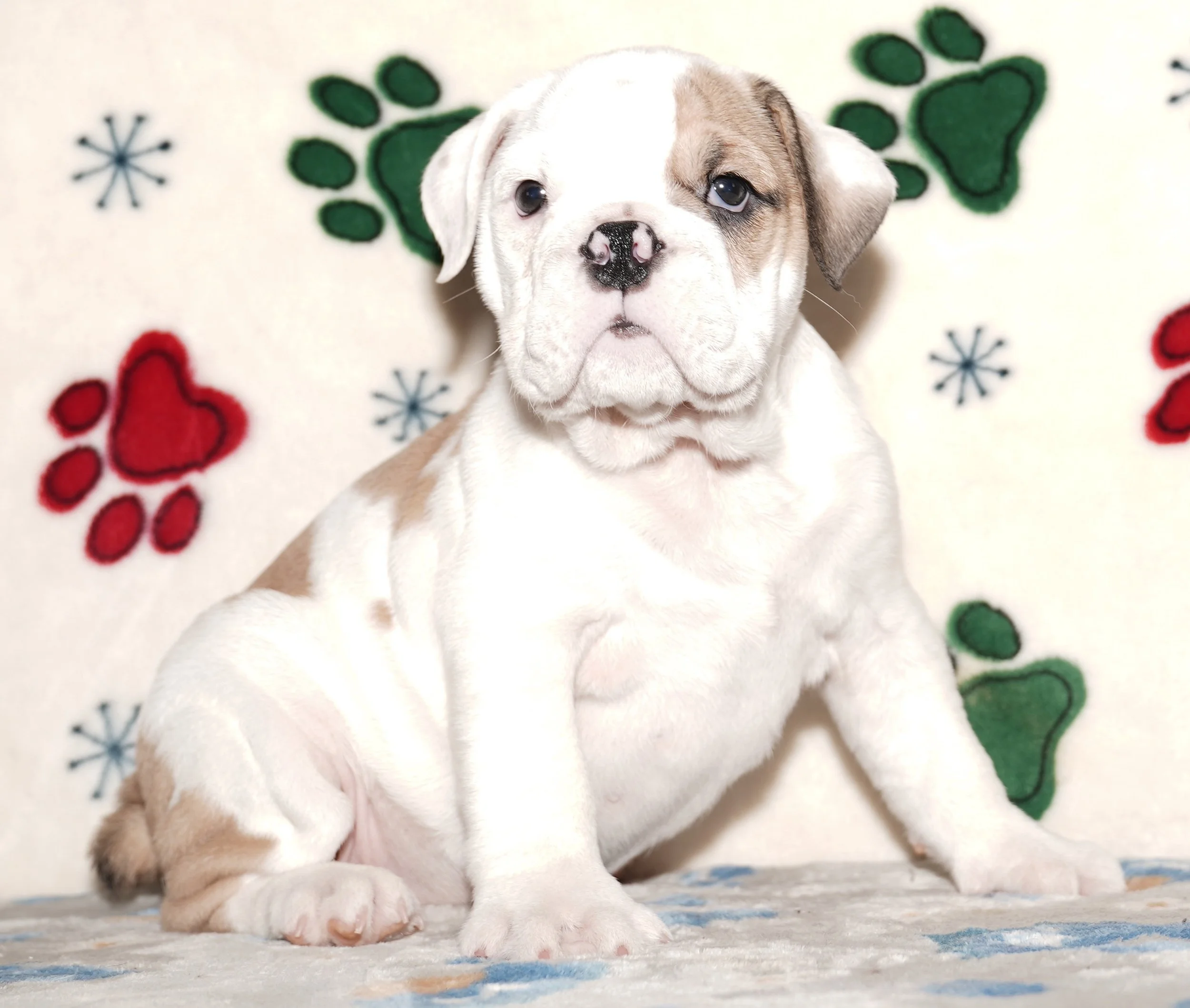 DSC00750.JPG