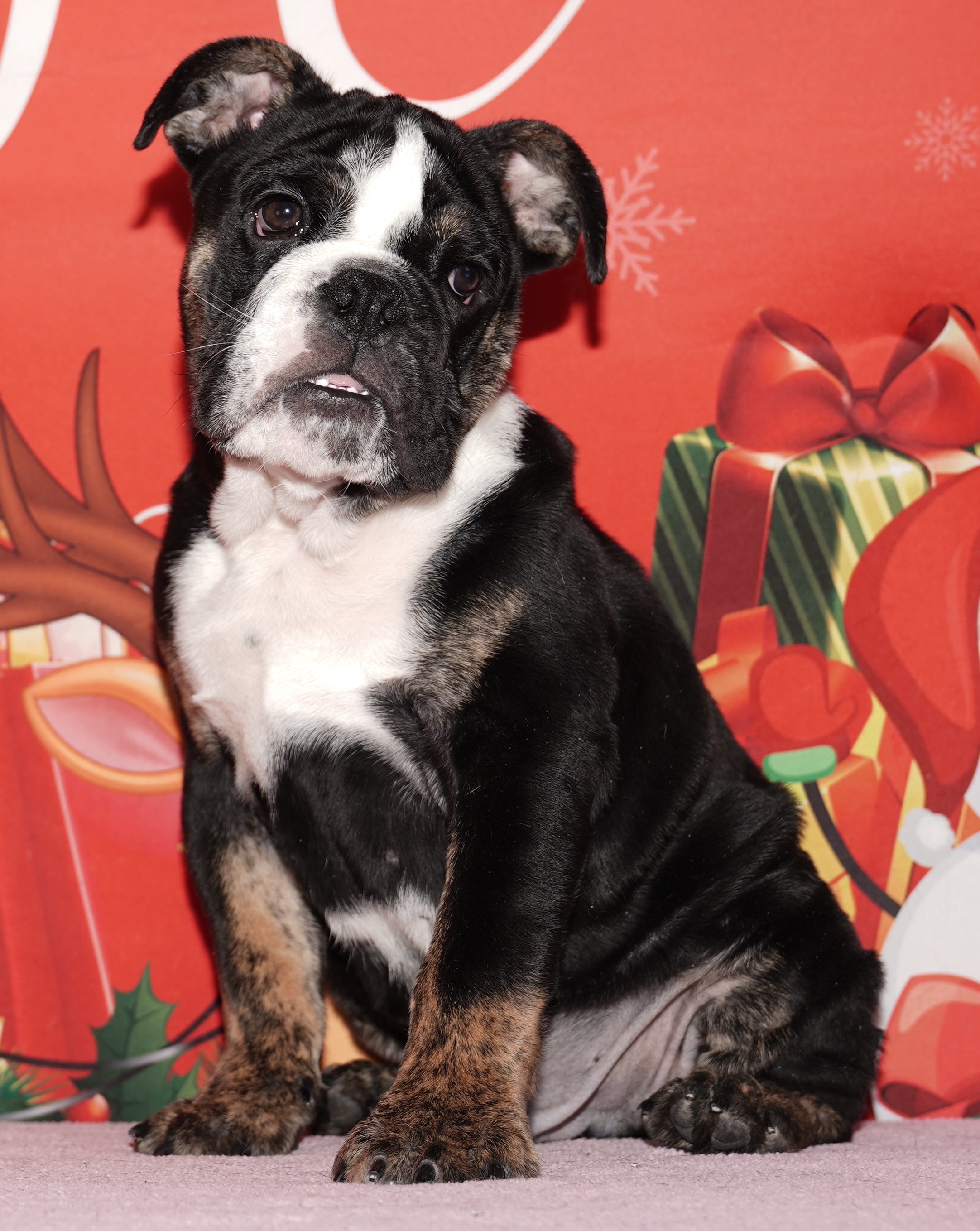 Nash - $2999 Holiday Special