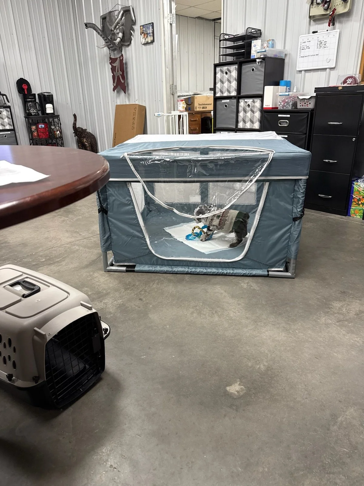Playpen for Puppies