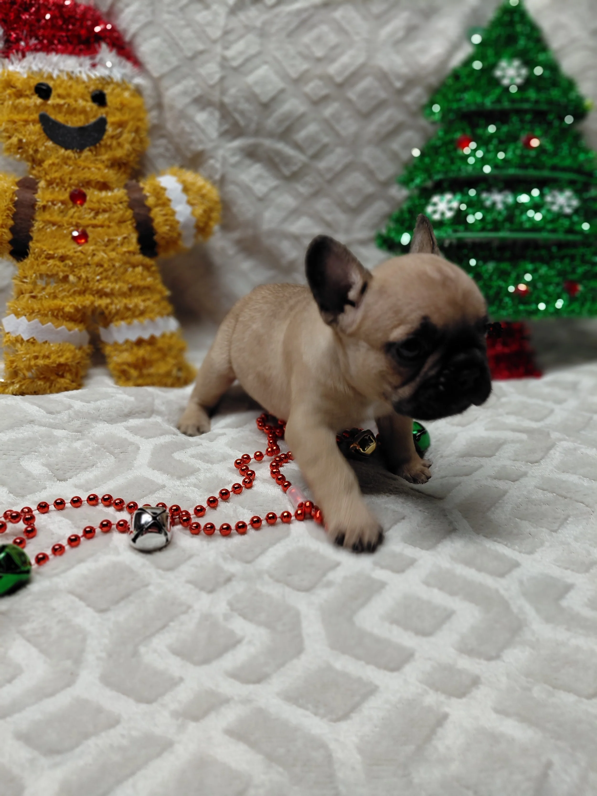 20251218_164027.jpg