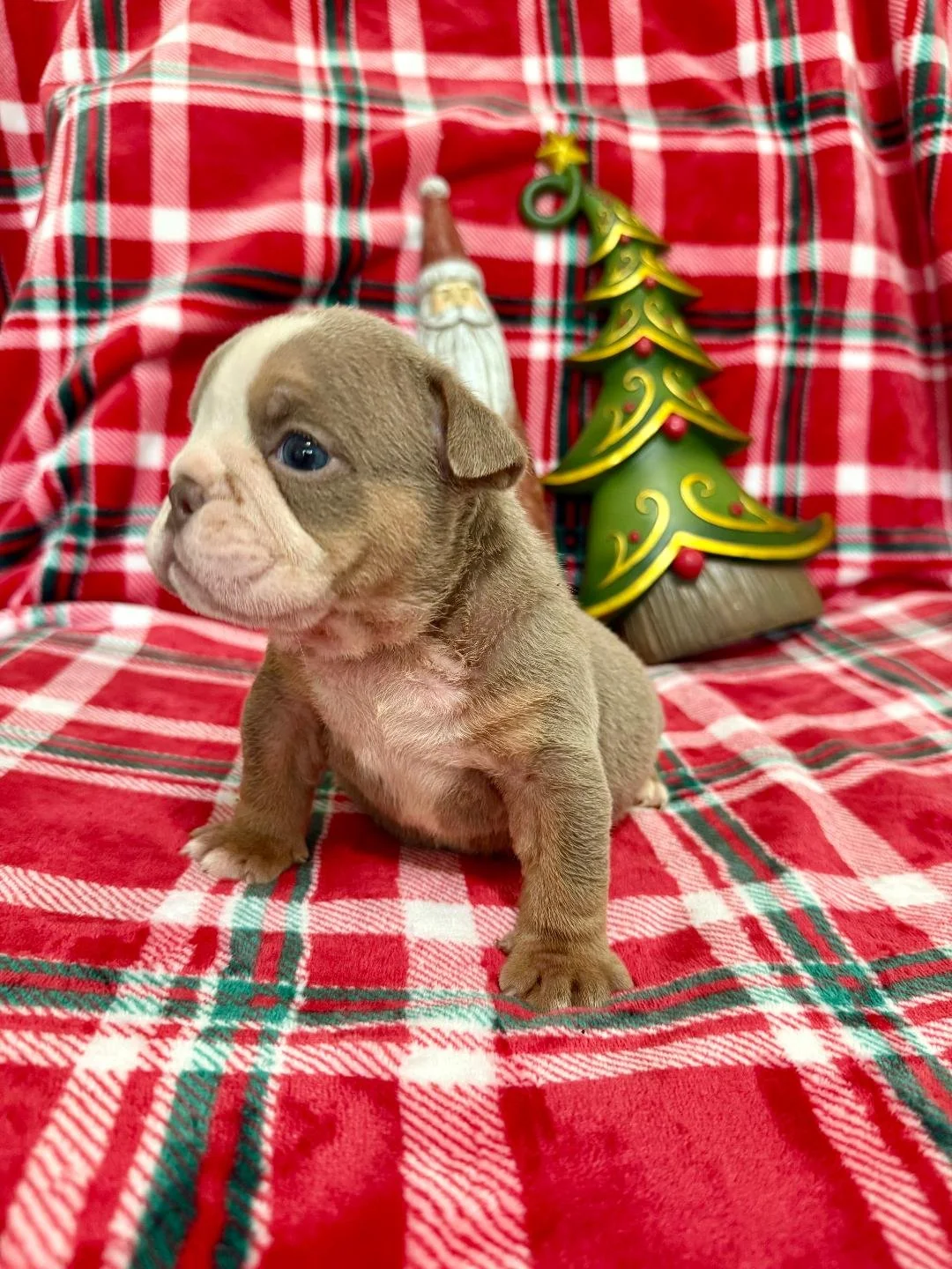 Photo Dec 22 2025, 10 49 42 AM (1).jpg