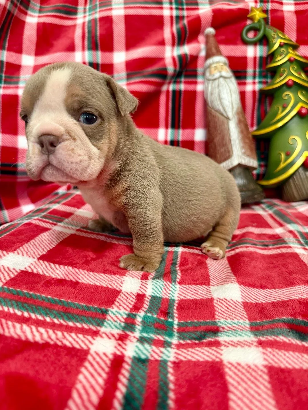 Photo Dec 22 2025, 10 49 42 AM (3).jpg