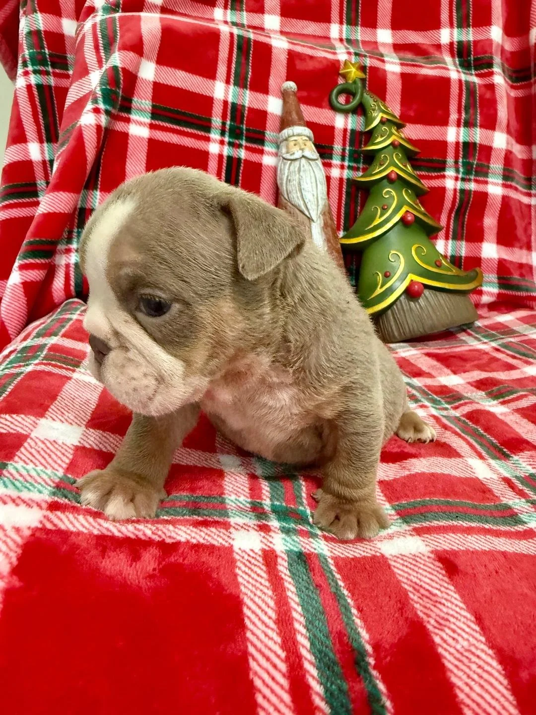 Photo Dec 22 2025, 10 49 42 AM (4).jpg