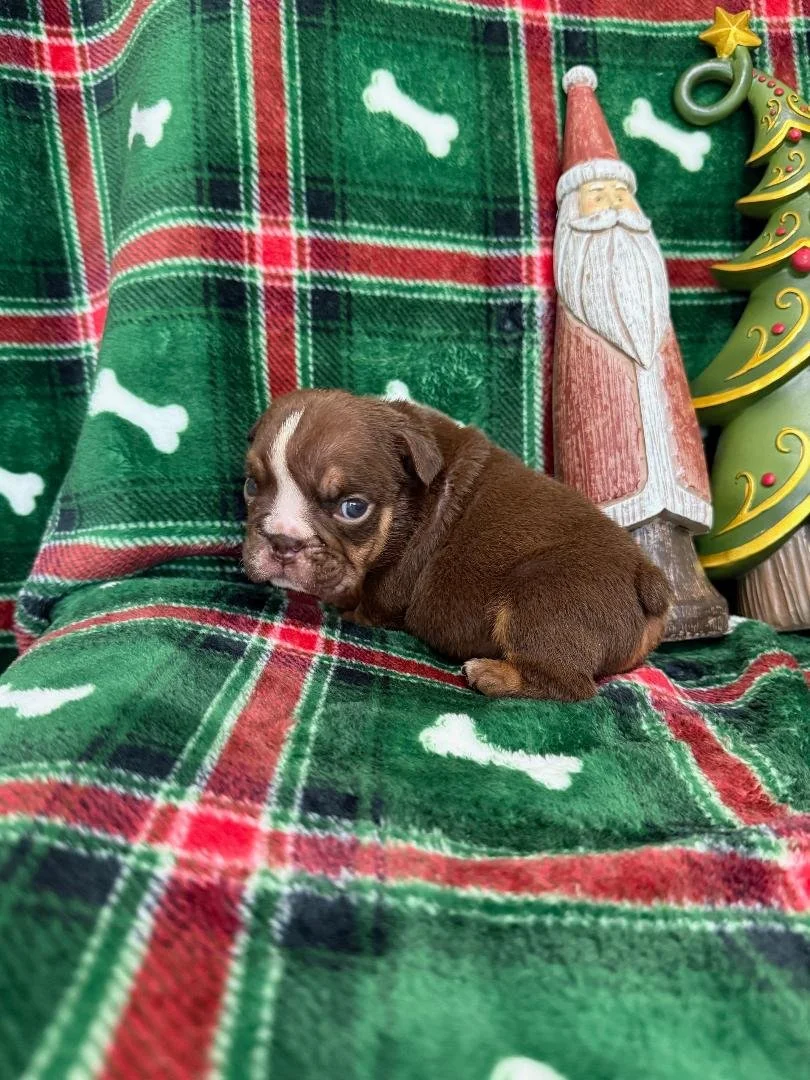 Photo Dec 22 2025, 10 50 06 AM (3).jpg