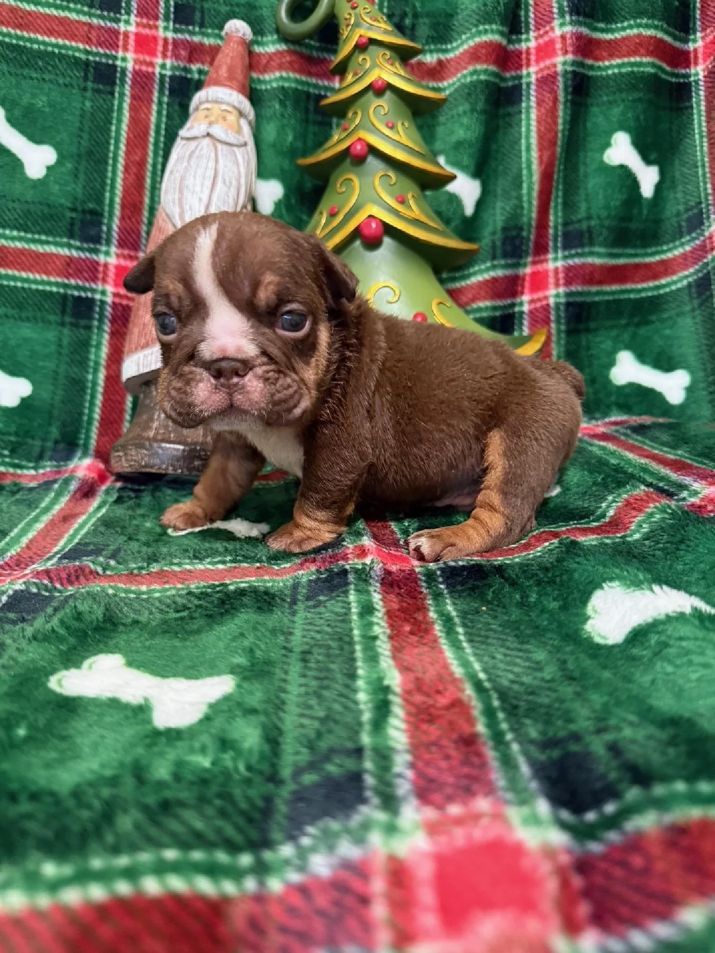 Photo Dec 22 2025, 10 50 06 AM (4).jpg