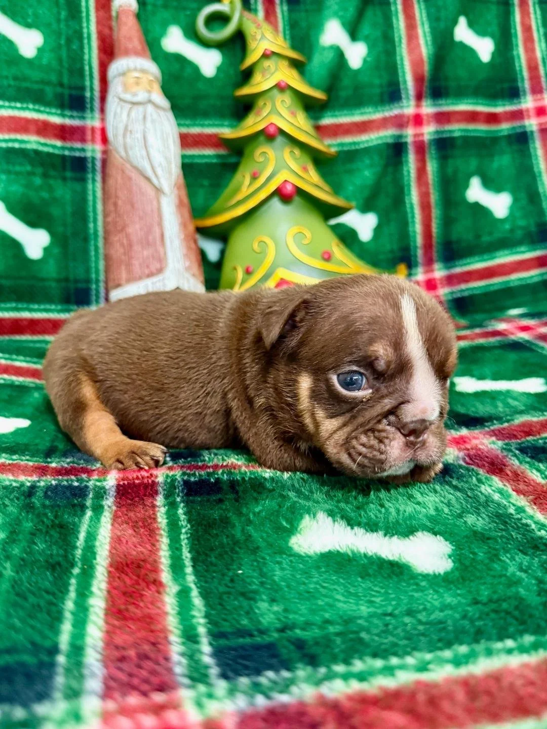 Photo Dec 22 2025, 10 50 06 AM (5).jpg