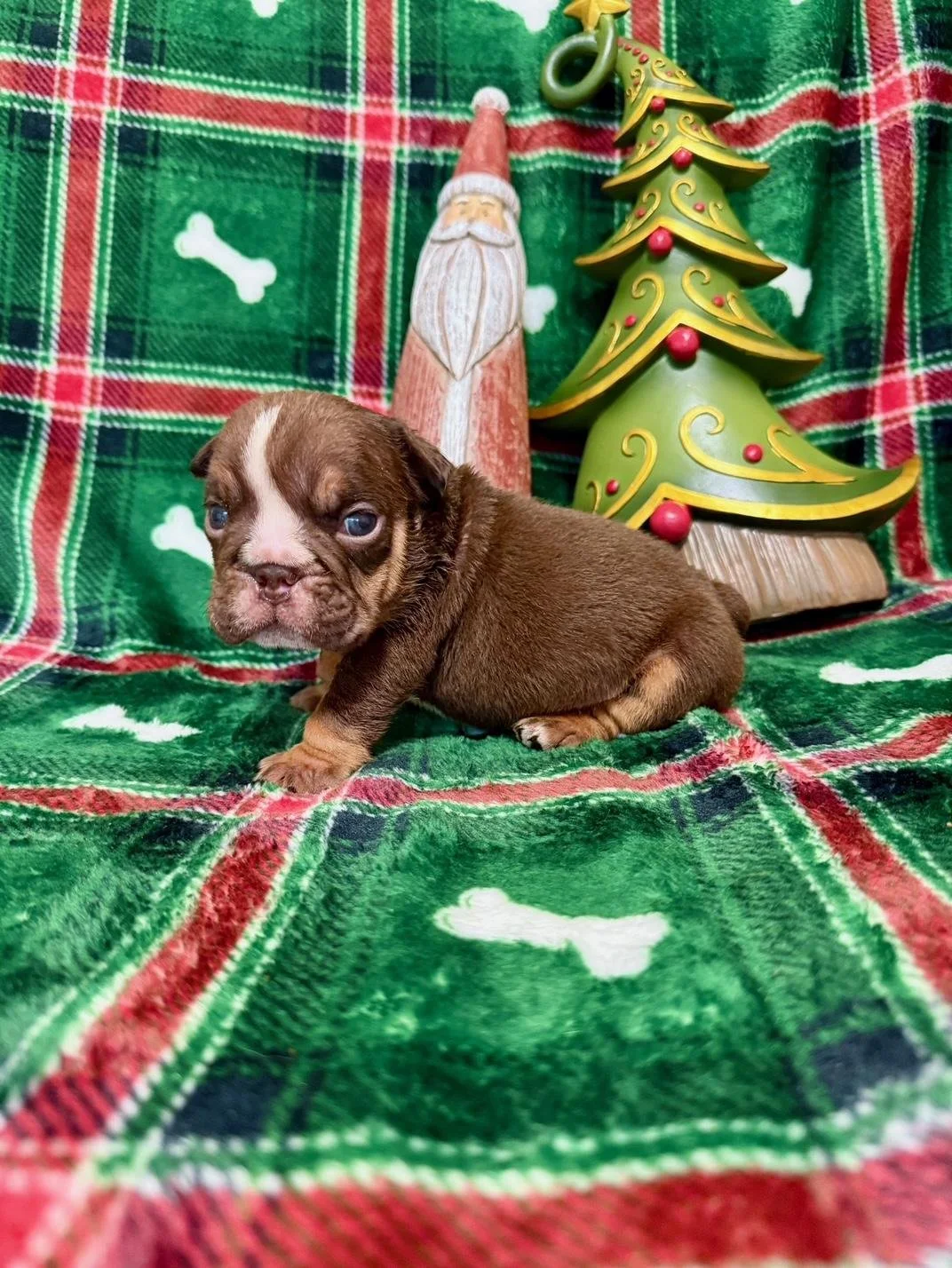 Photo Dec 22 2025, 10 50 06 AM (7).jpg