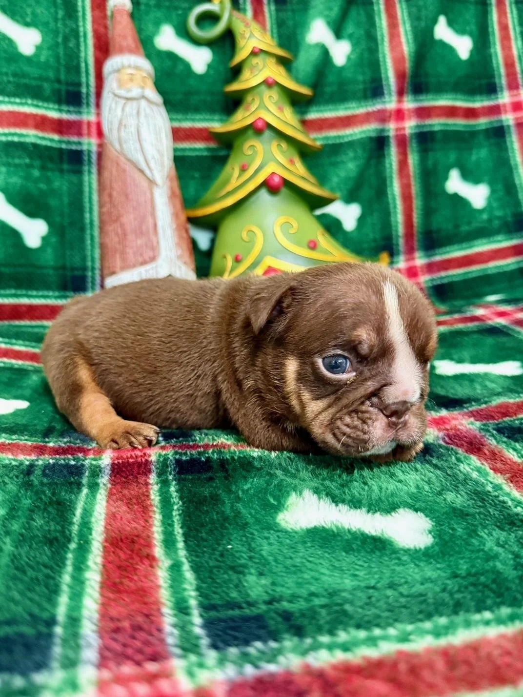 Photo Dec 22 2025, 10 50 06 AM (8) (1).jpg