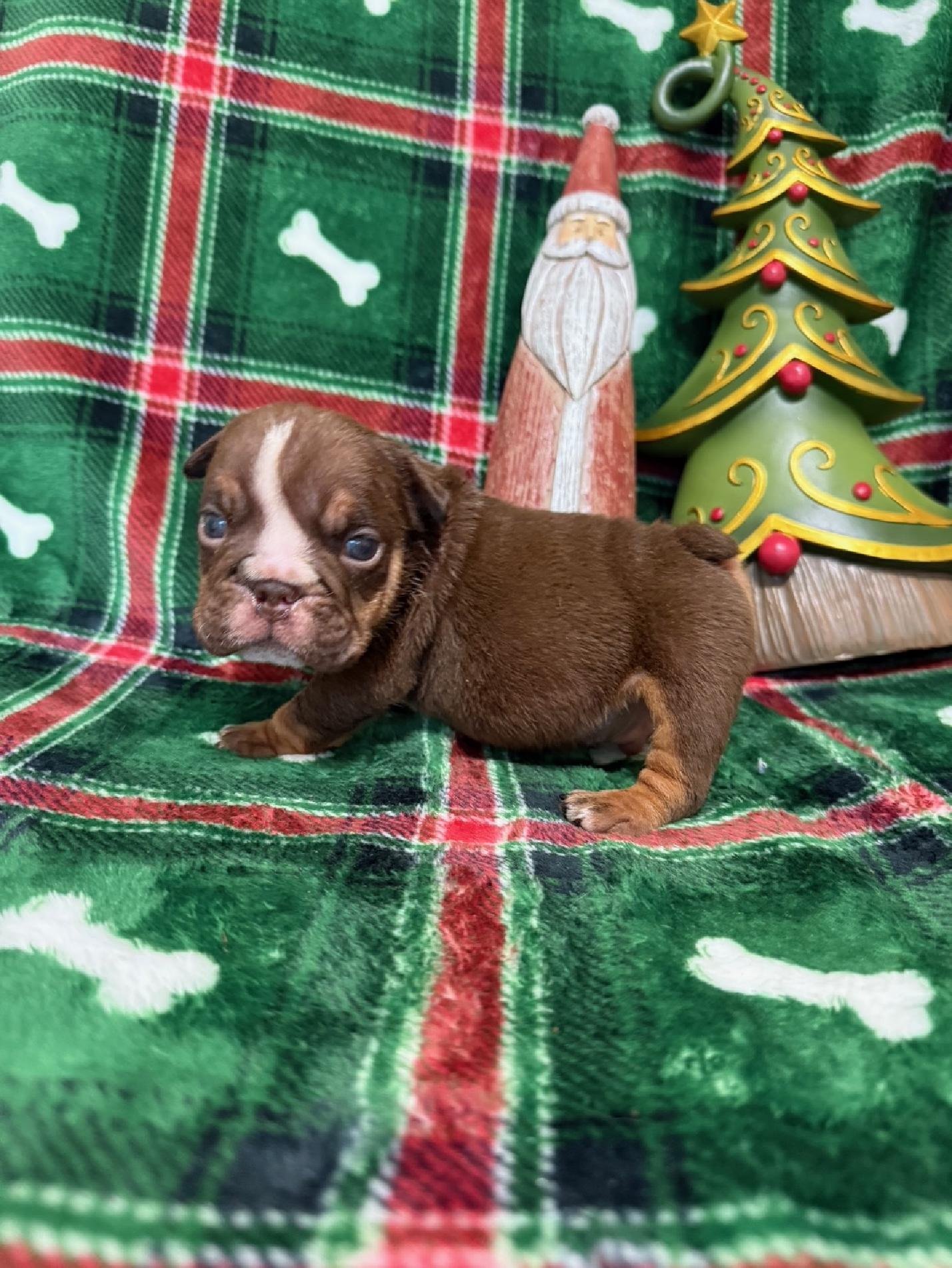 Photo Dec 22 2025, 10 50 06 AM (8).jpg