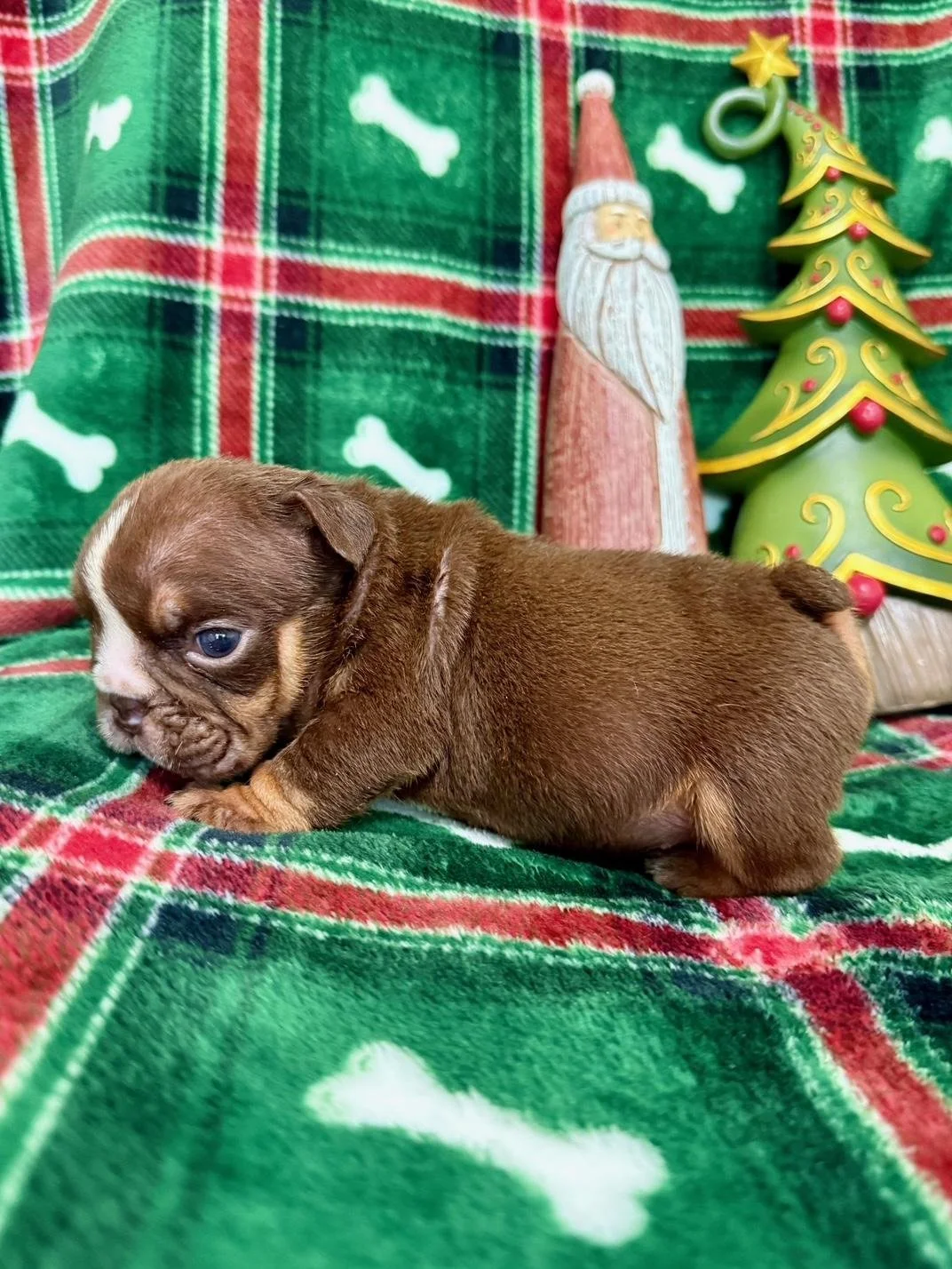 Photo Dec 22 2025, 10 50 06 AM (9).jpg