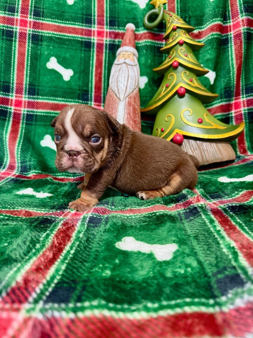 Photo Dec 22 2025, 10 50 06 AM.jpg