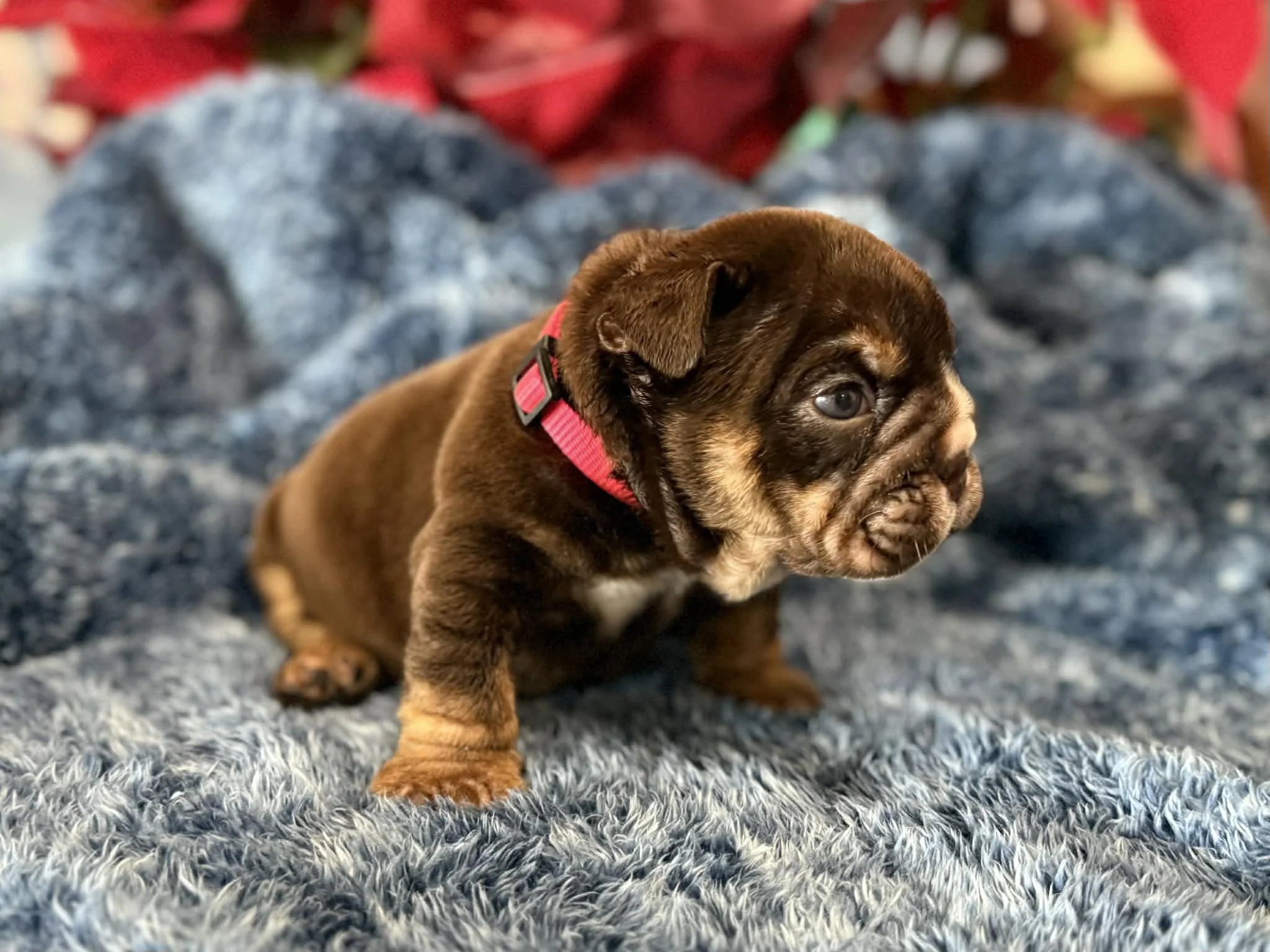 Photo Dec 29 2025, 2 29 19 PM (2).jpg