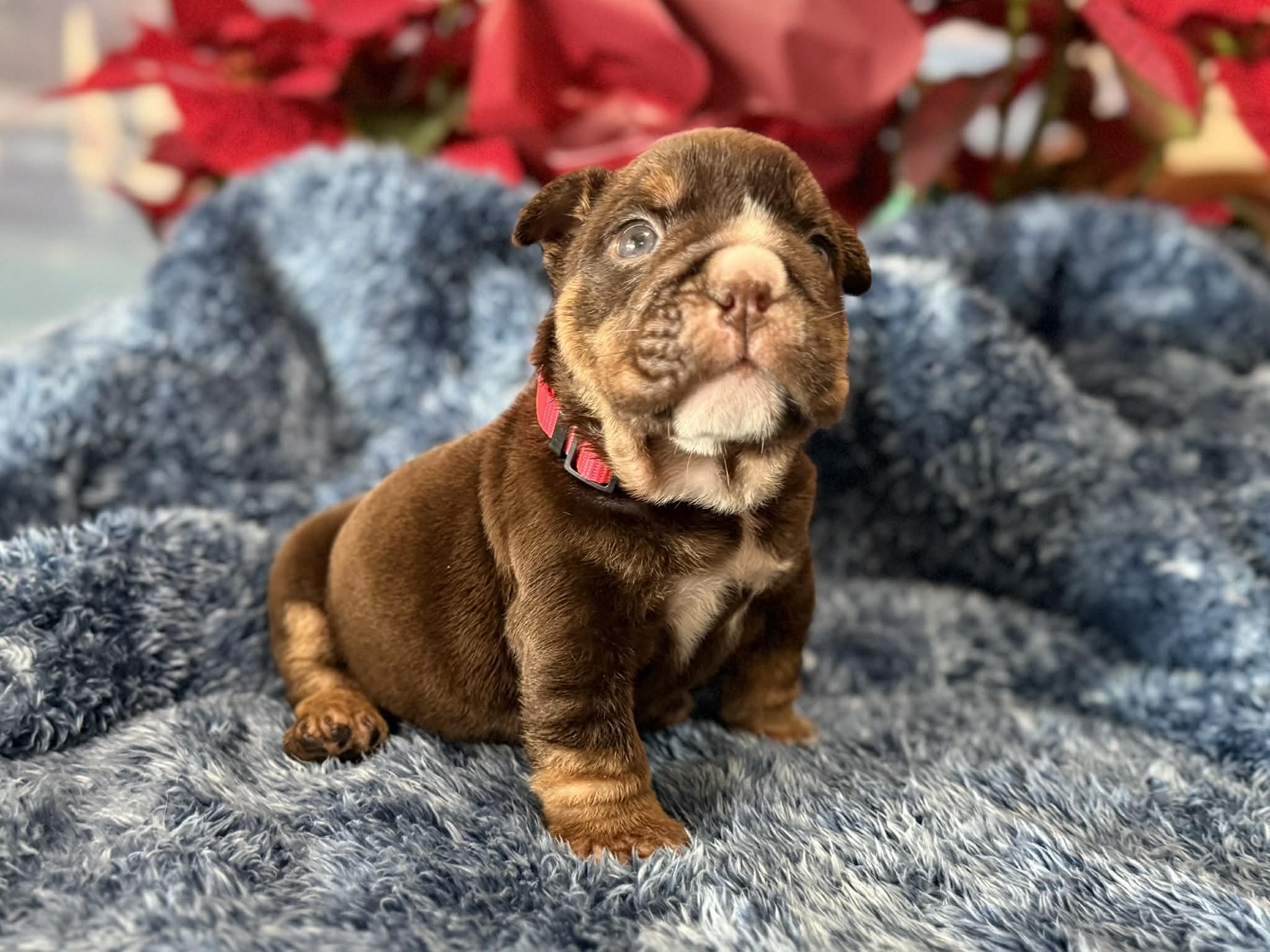 Photo Dec 29 2025, 2 29 19 PM (1).jpg