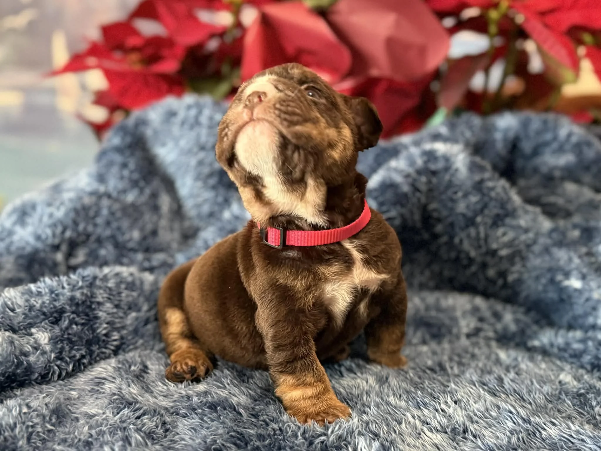 Photo Dec 29 2025, 2 29 19 PM (3).jpg