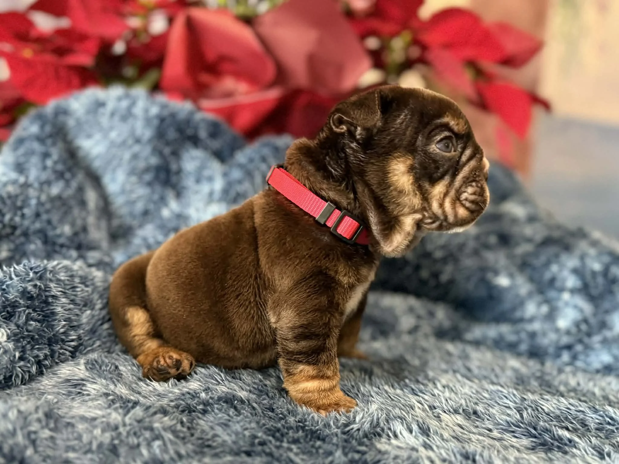 Photo Dec 29 2025, 2 29 19 PM (5).jpg