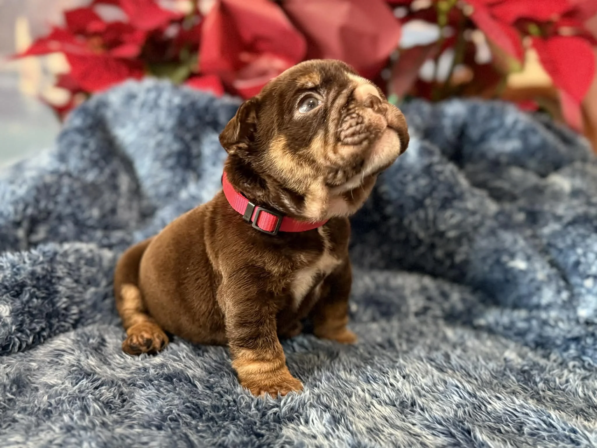 Photo Dec 29 2025, 2 29 19 PM.jpg