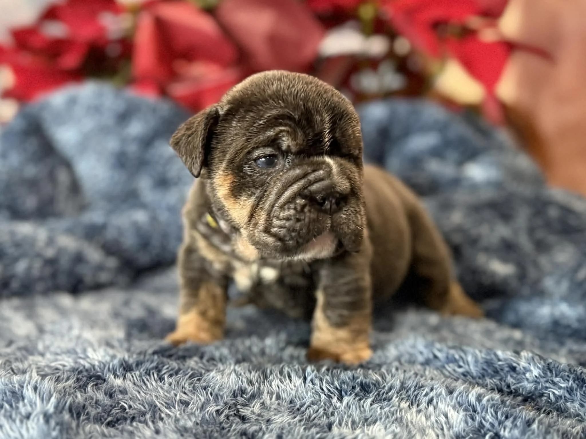 Photo Dec 29 2025, 2 30 00 PM (2).jpg