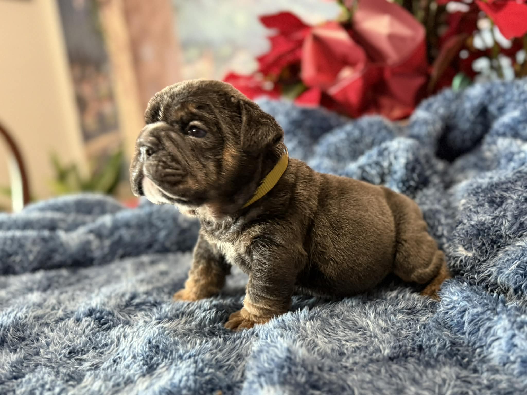 Photo Dec 29 2025, 2 30 00 PM (3).jpg