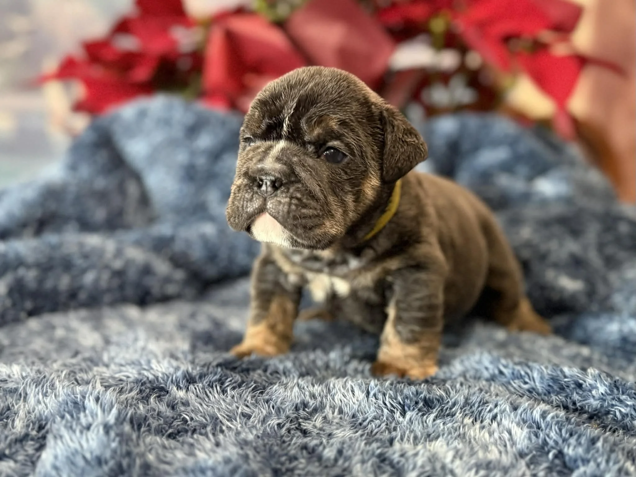 Photo Dec 29 2025, 2 30 00 PM (5).jpg