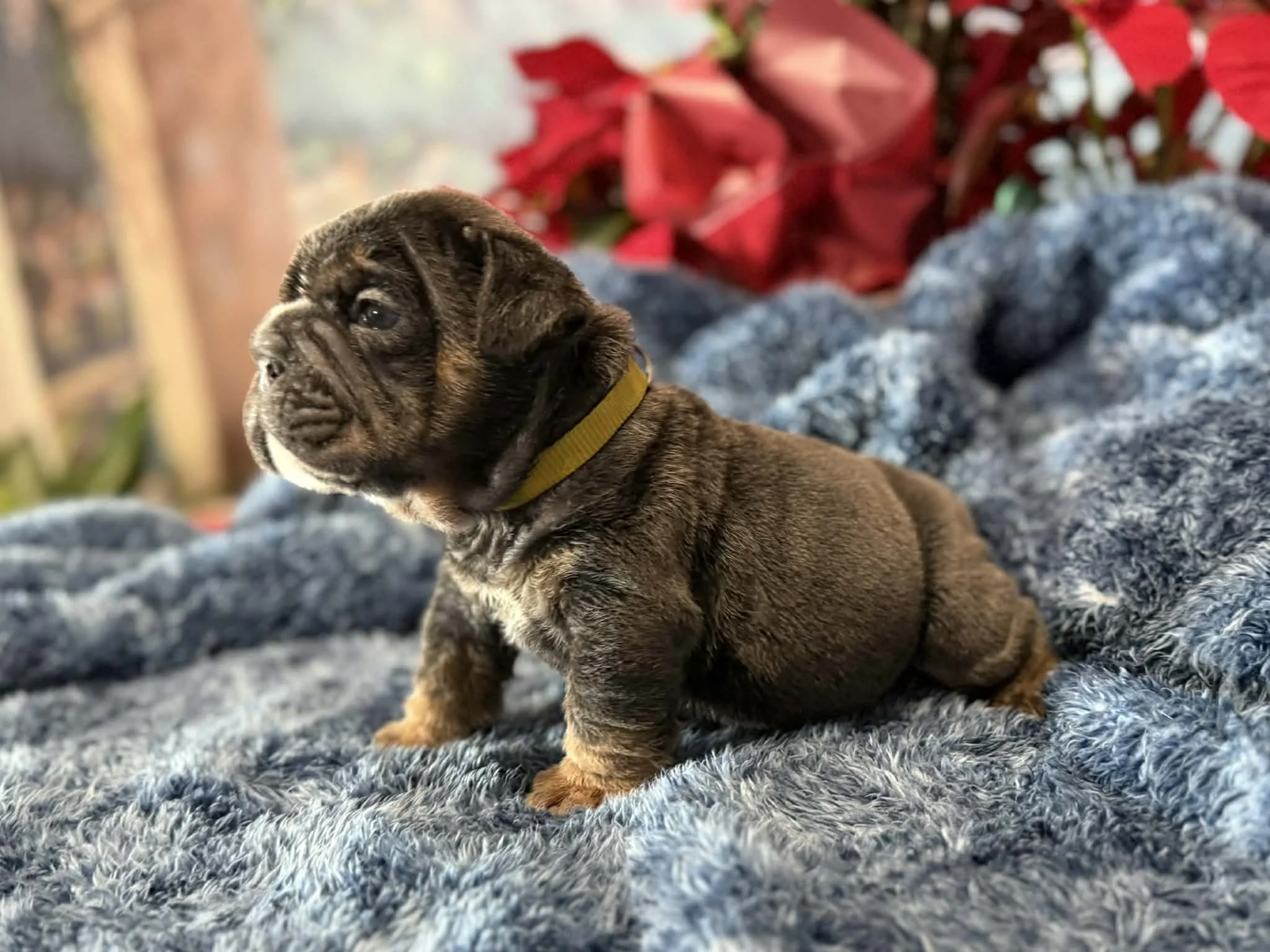 Photo Dec 29 2025, 2 30 00 PM (7).jpg