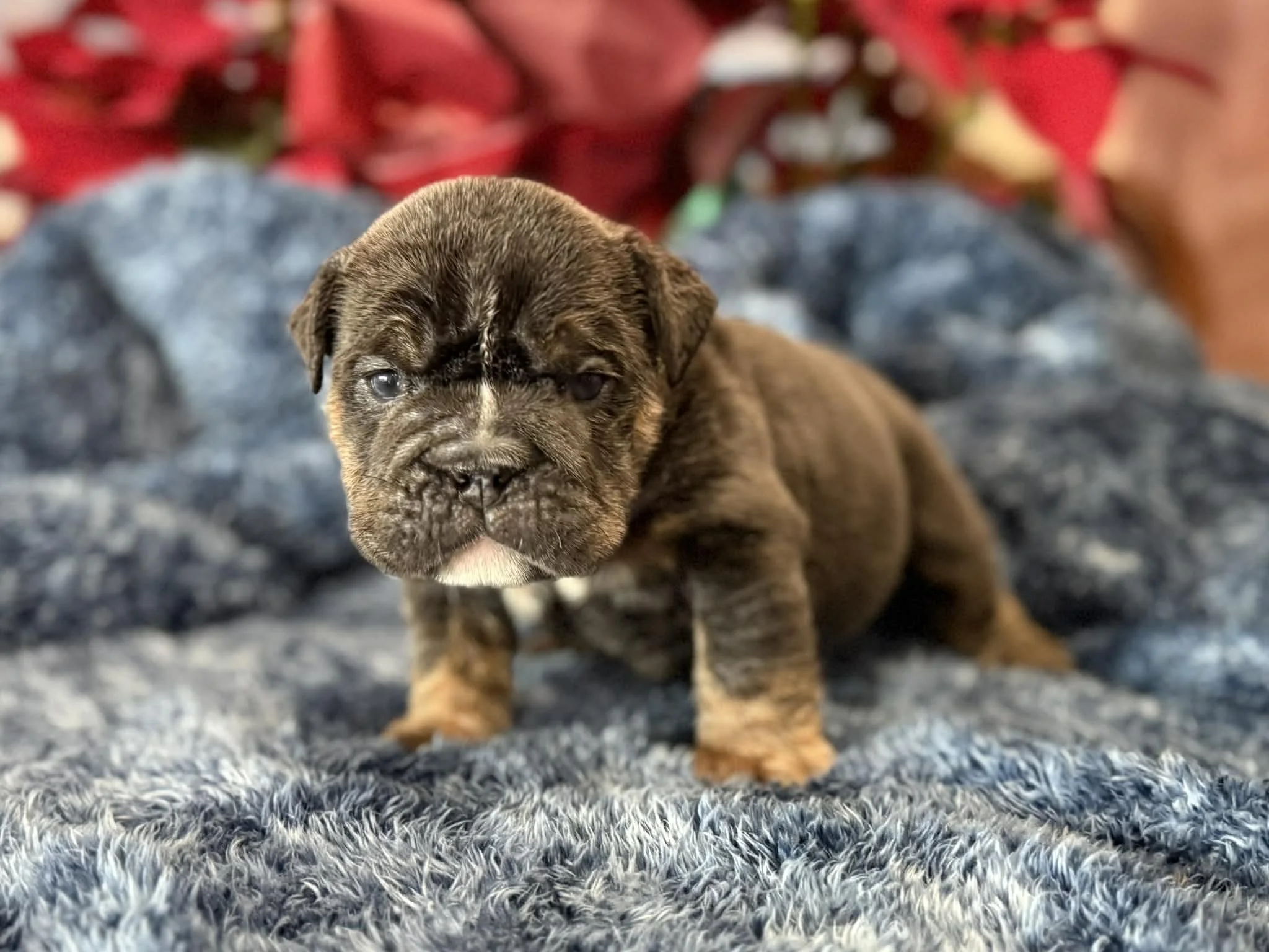 Photo Dec 29 2025, 2 30 00 PM (8).jpg