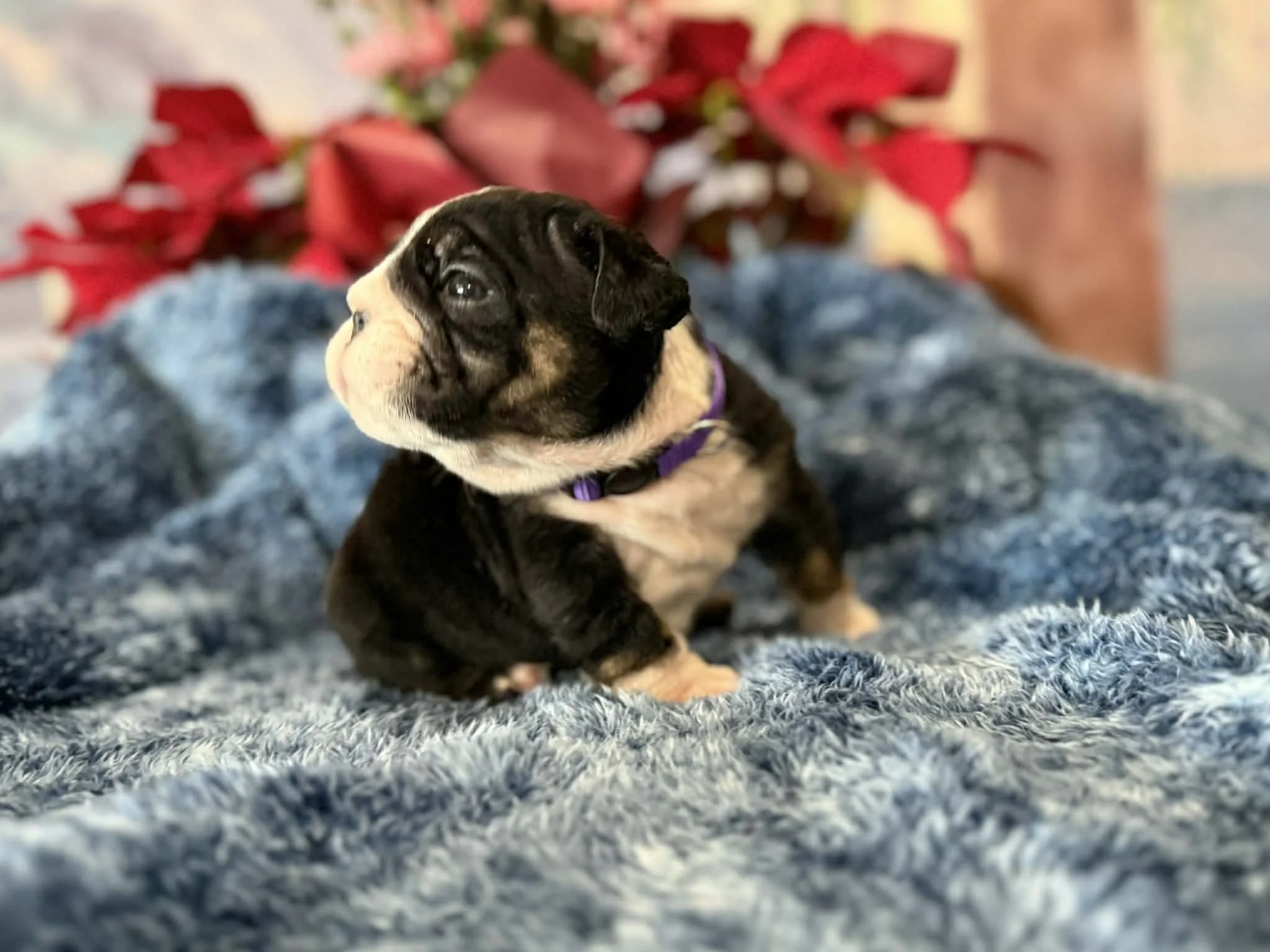 Photo Dec 29 2025, 2 30 43 PM (2).jpg