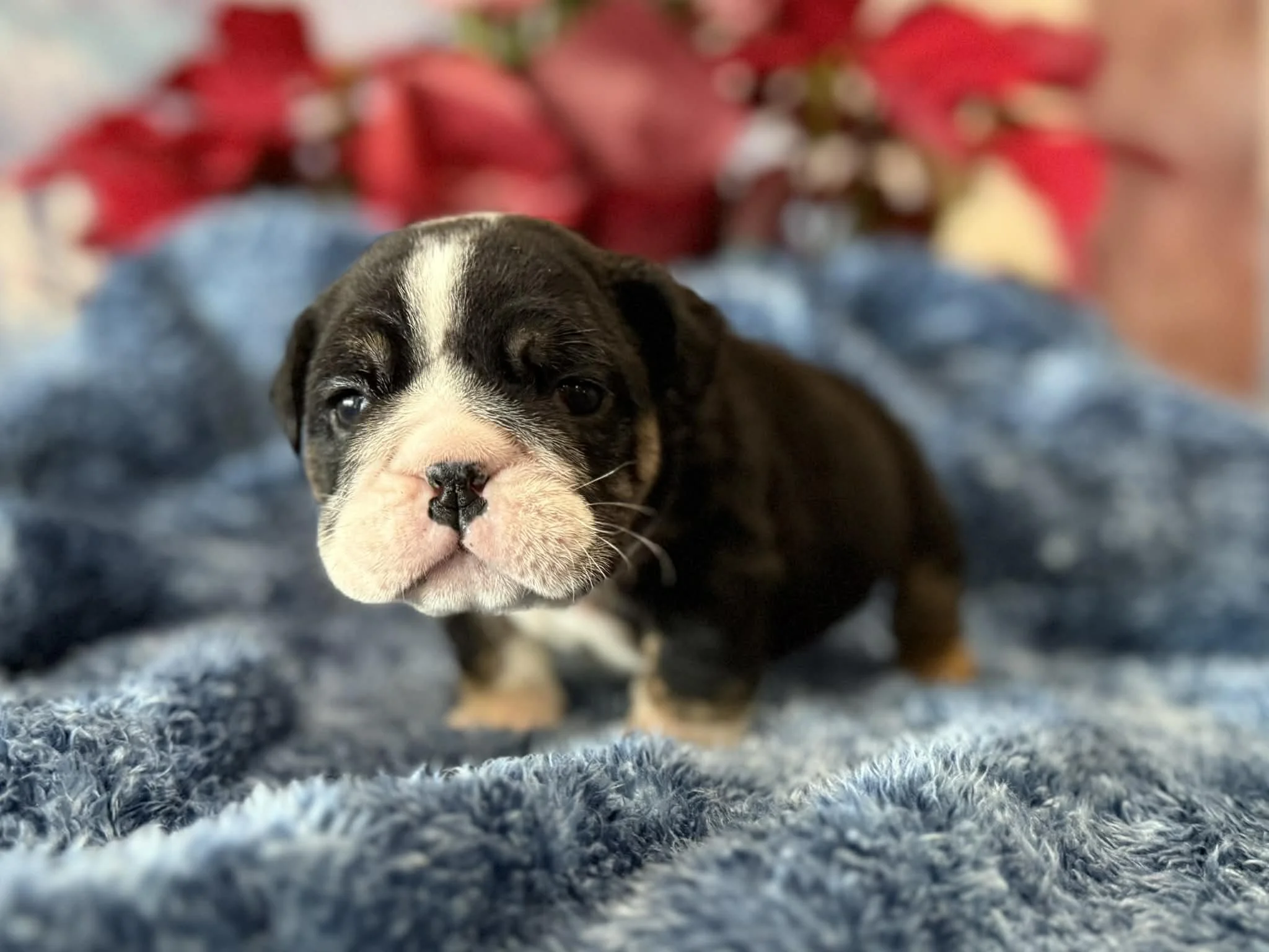 Photo Dec 29 2025, 2 30 43 PM (4).jpg