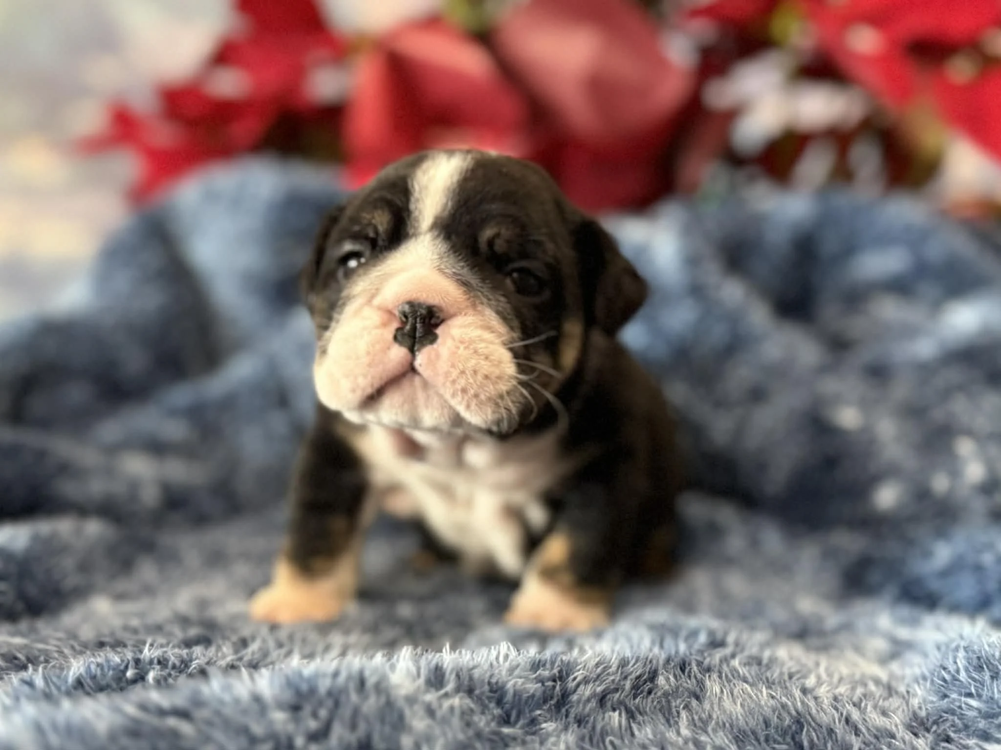 Photo Dec 29 2025, 2 30 43 PM (5).jpg