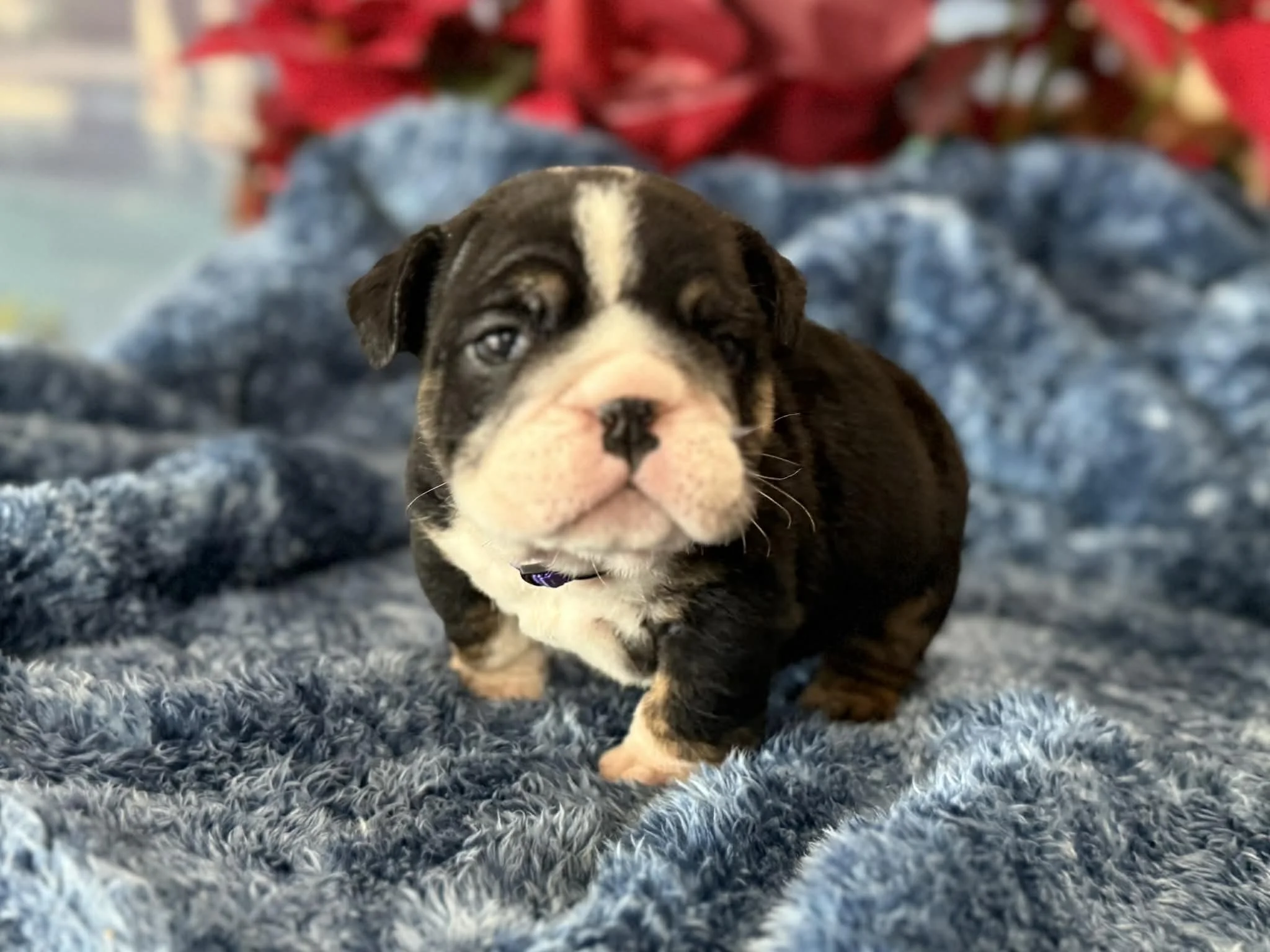 Photo Dec 29 2025, 2 30 43 PM (6).jpg