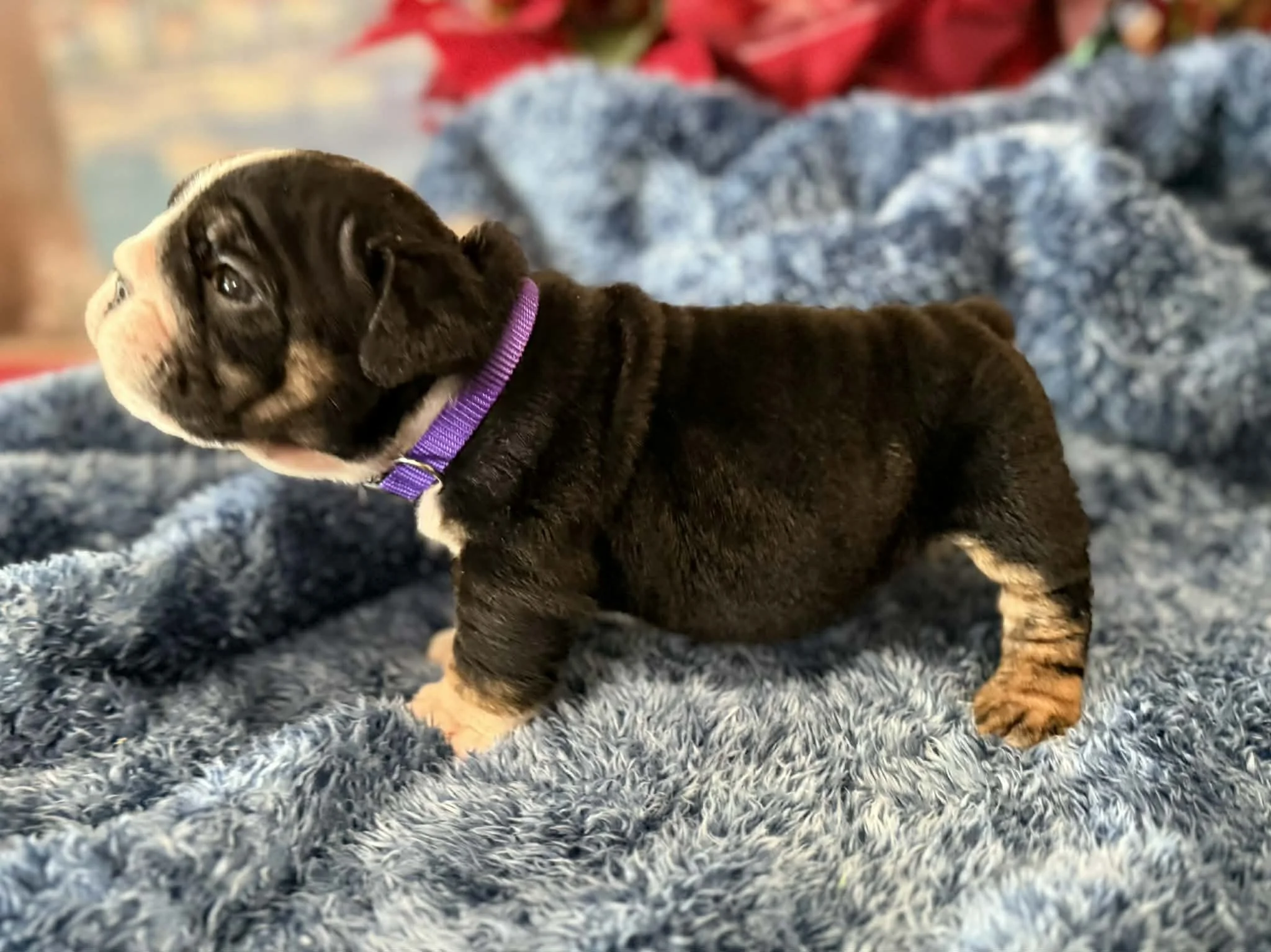 Photo Dec 29 2025, 2 30 43 PM (8).jpg