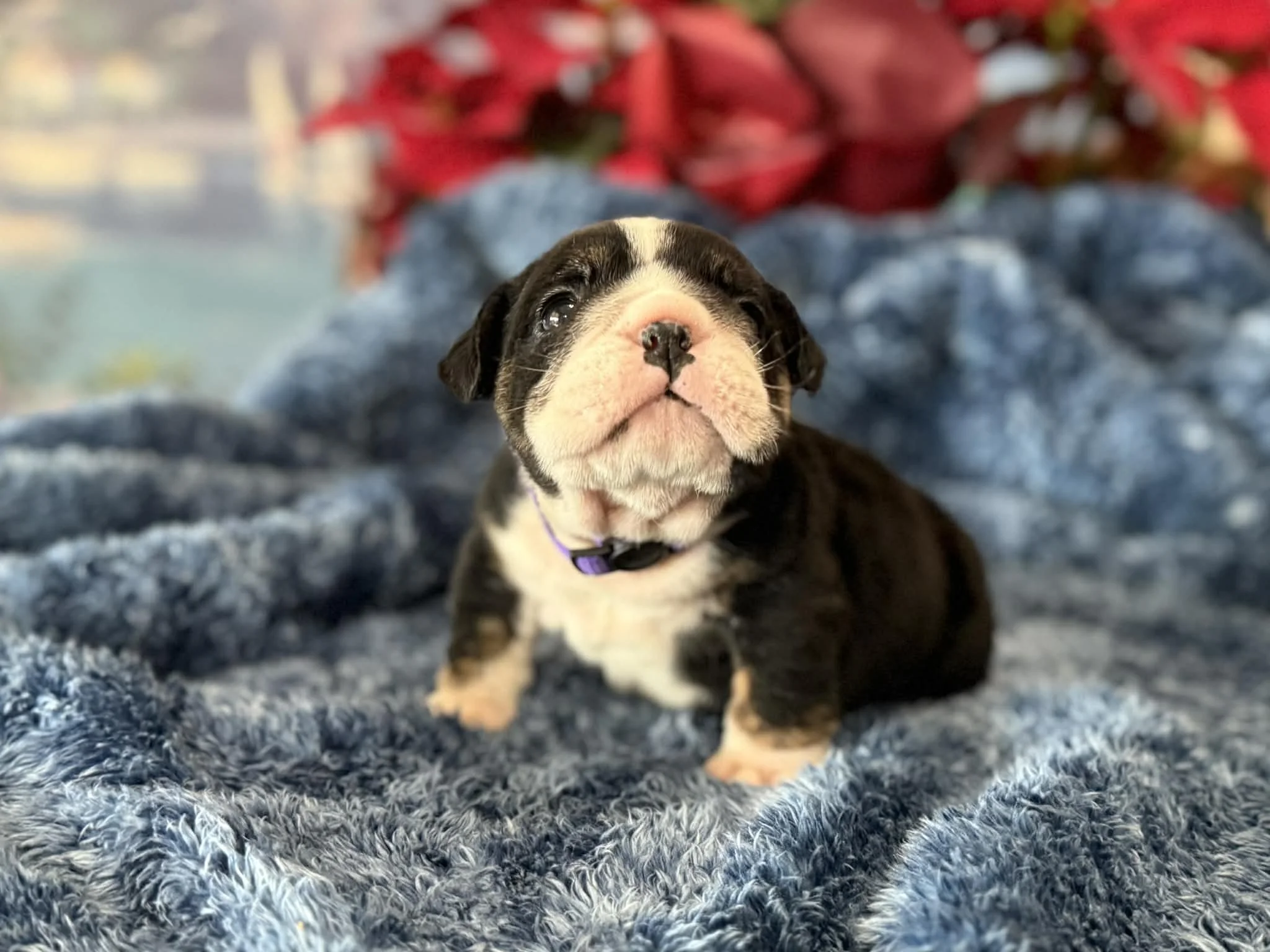 Photo Dec 29 2025, 2 30 43 PM.jpg