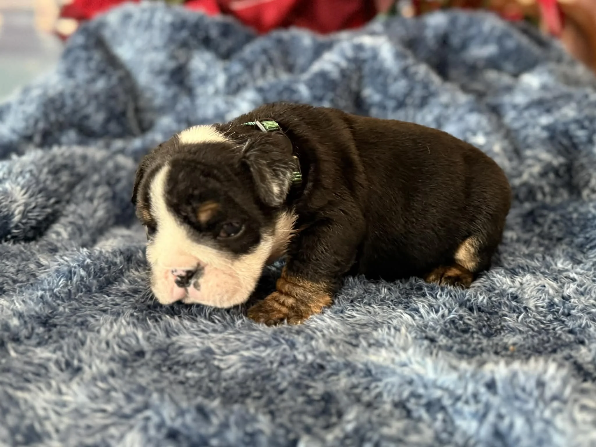 Photo Dec 29 2025, 2 31 41 PM (2).jpg