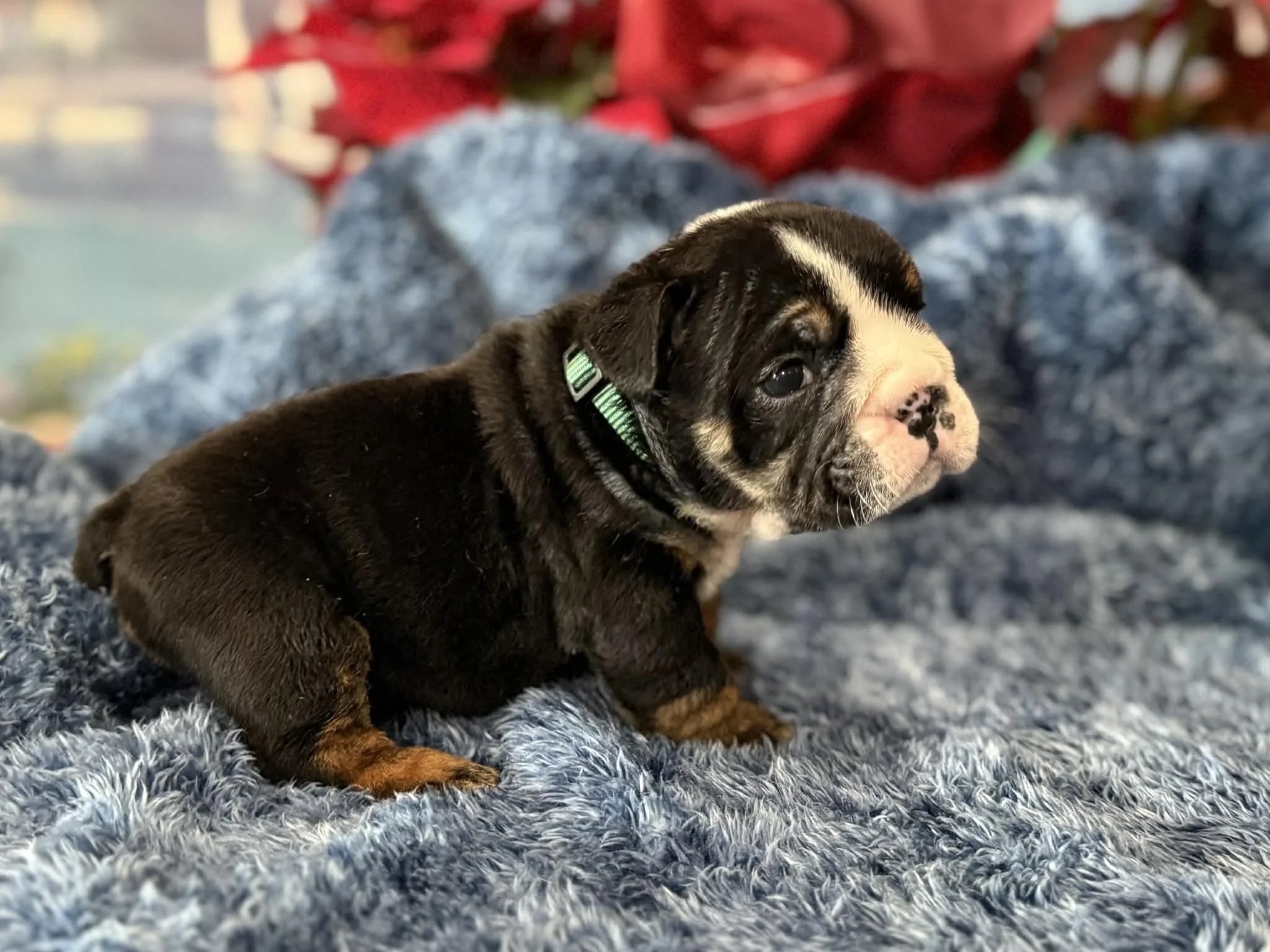 Photo Dec 29 2025, 2 31 41 PM (1).jpg