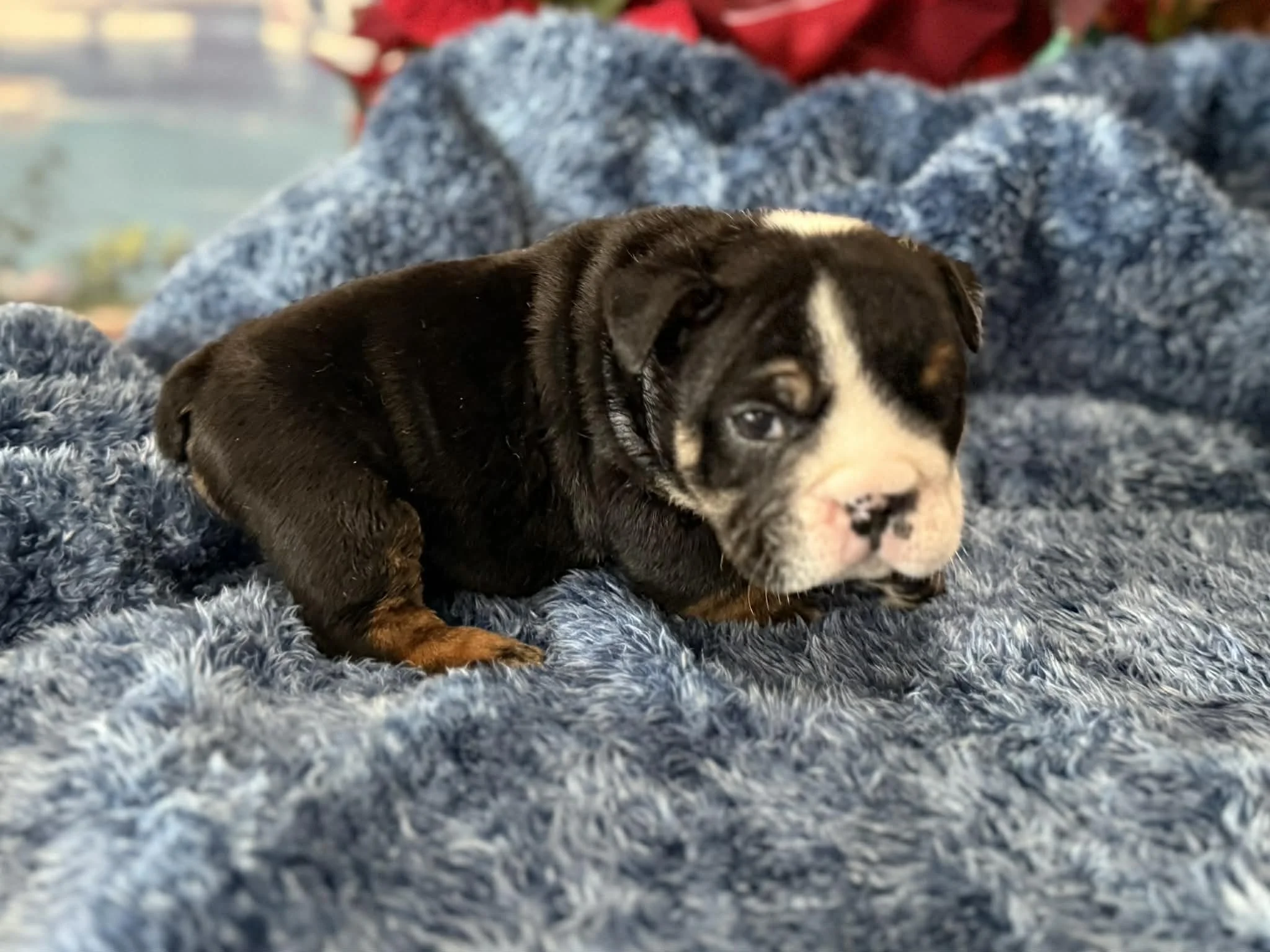 Photo Dec 29 2025, 2 31 41 PM (4).jpg