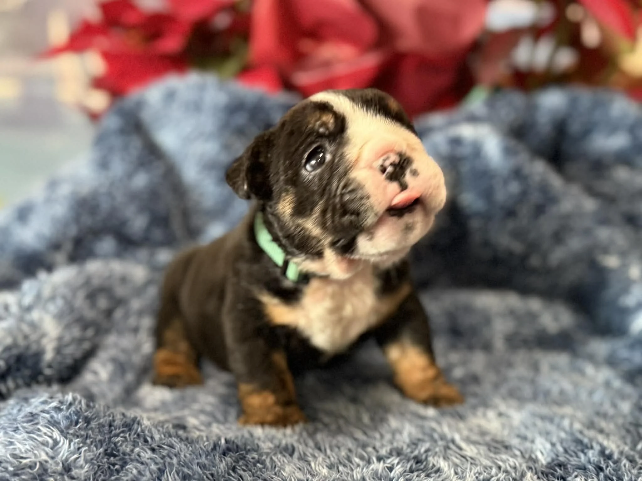 Photo Dec 29 2025, 2 31 41 PM (5).jpg