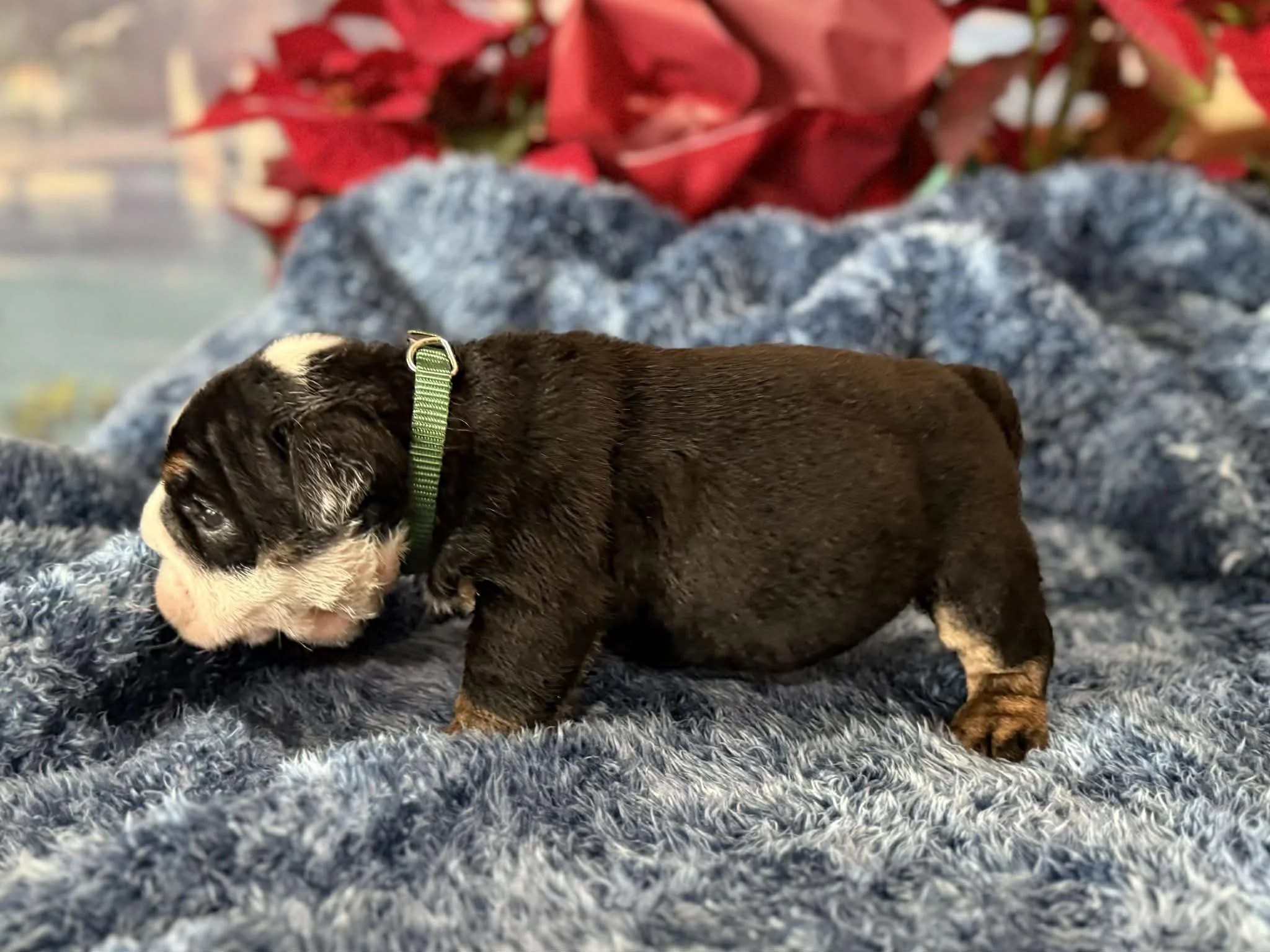 Photo Dec 29 2025, 2 31 41 PM (6) (1).jpg