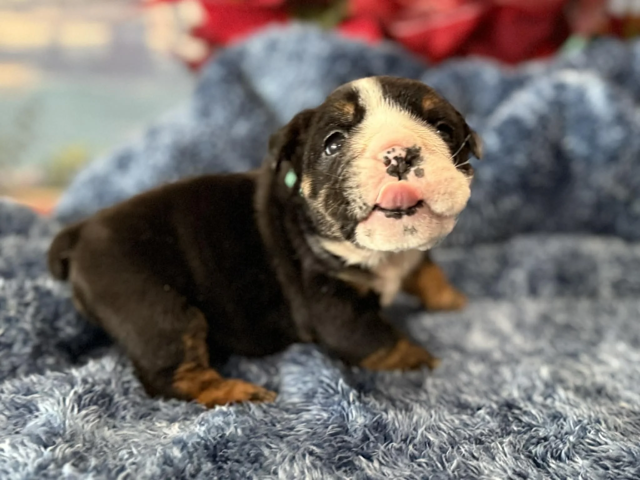 Photo Dec 29 2025, 2 31 41 PM (6).jpg