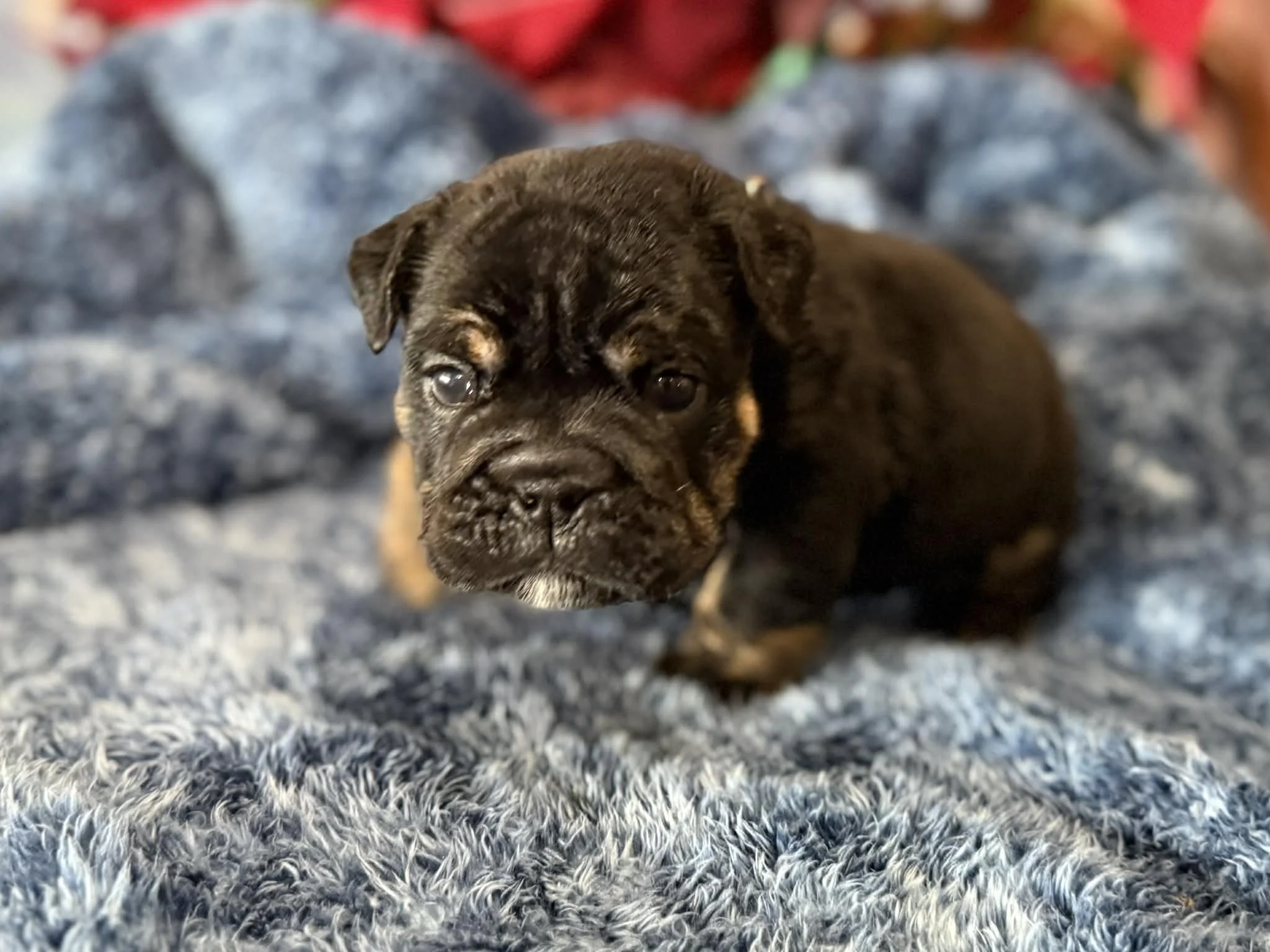 Photo Dec 29 2025, 2 32 23 PM (1).jpg