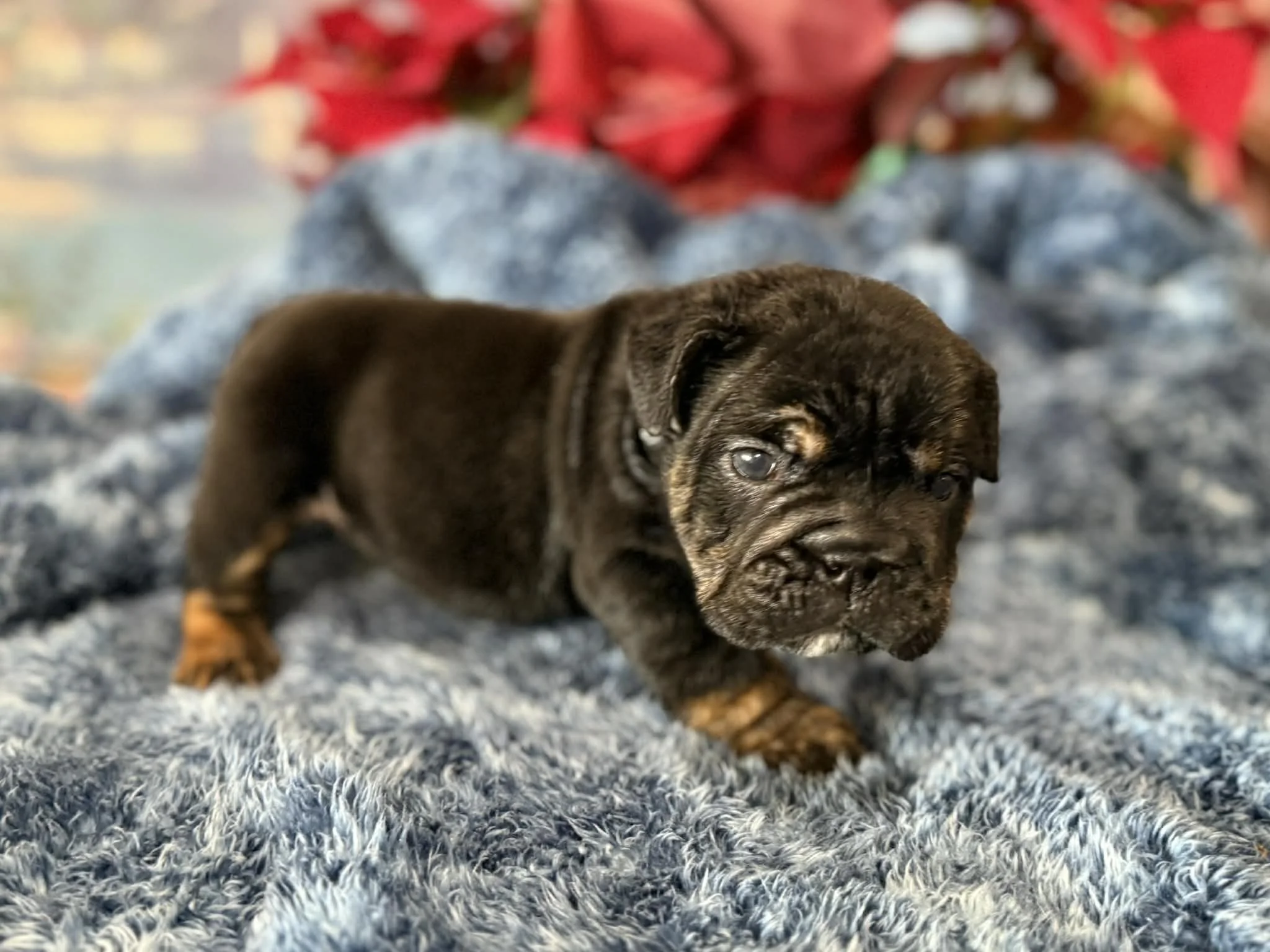 Photo Dec 29 2025, 2 32 23 PM (2).jpg