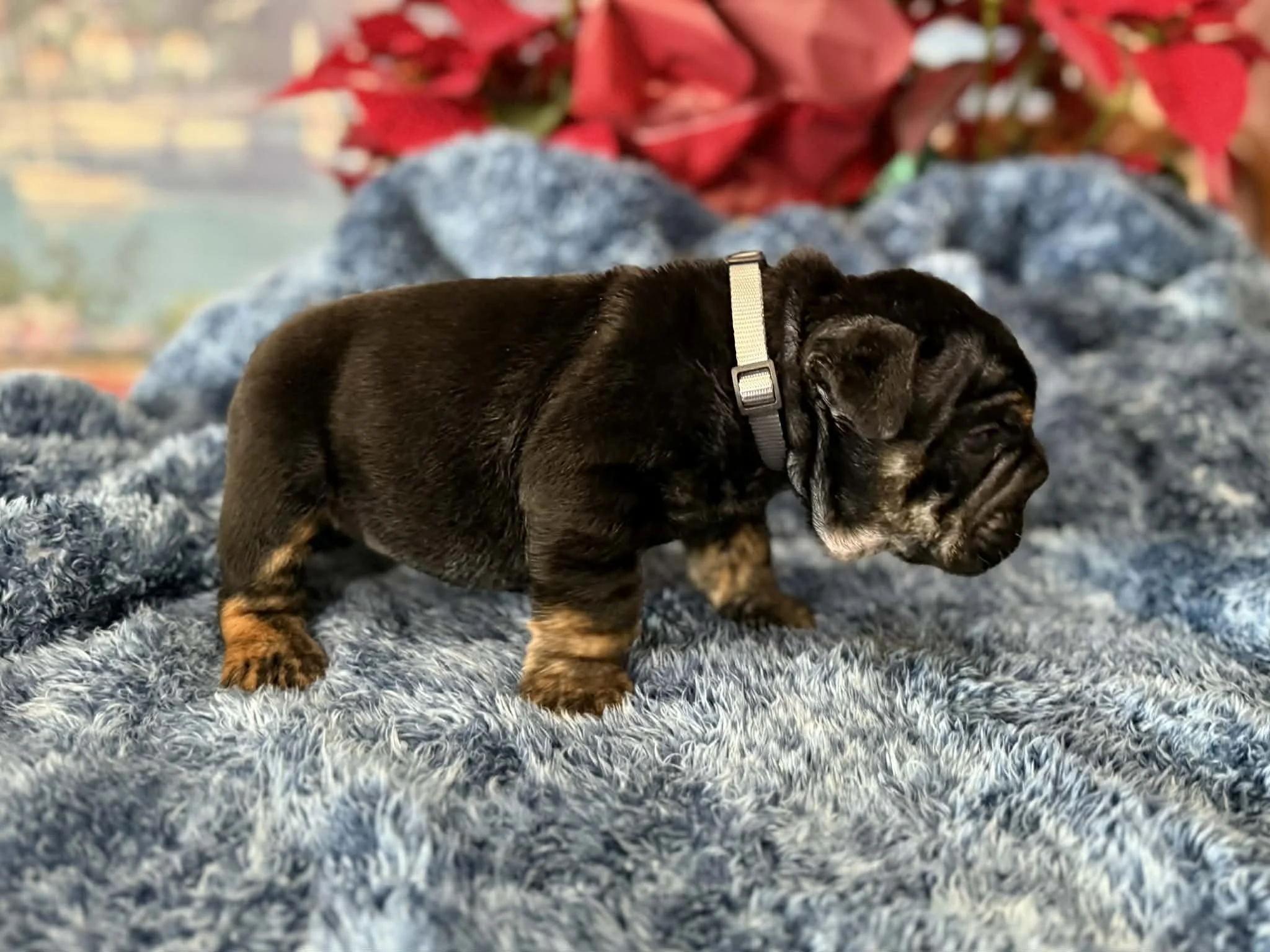 Photo Dec 29 2025, 2 32 23 PM (4).jpg