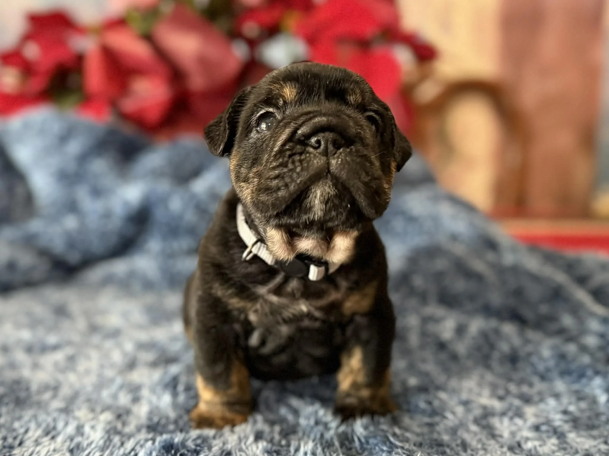 Photo Dec 29 2025, 2 32 23 PM (5).jpg