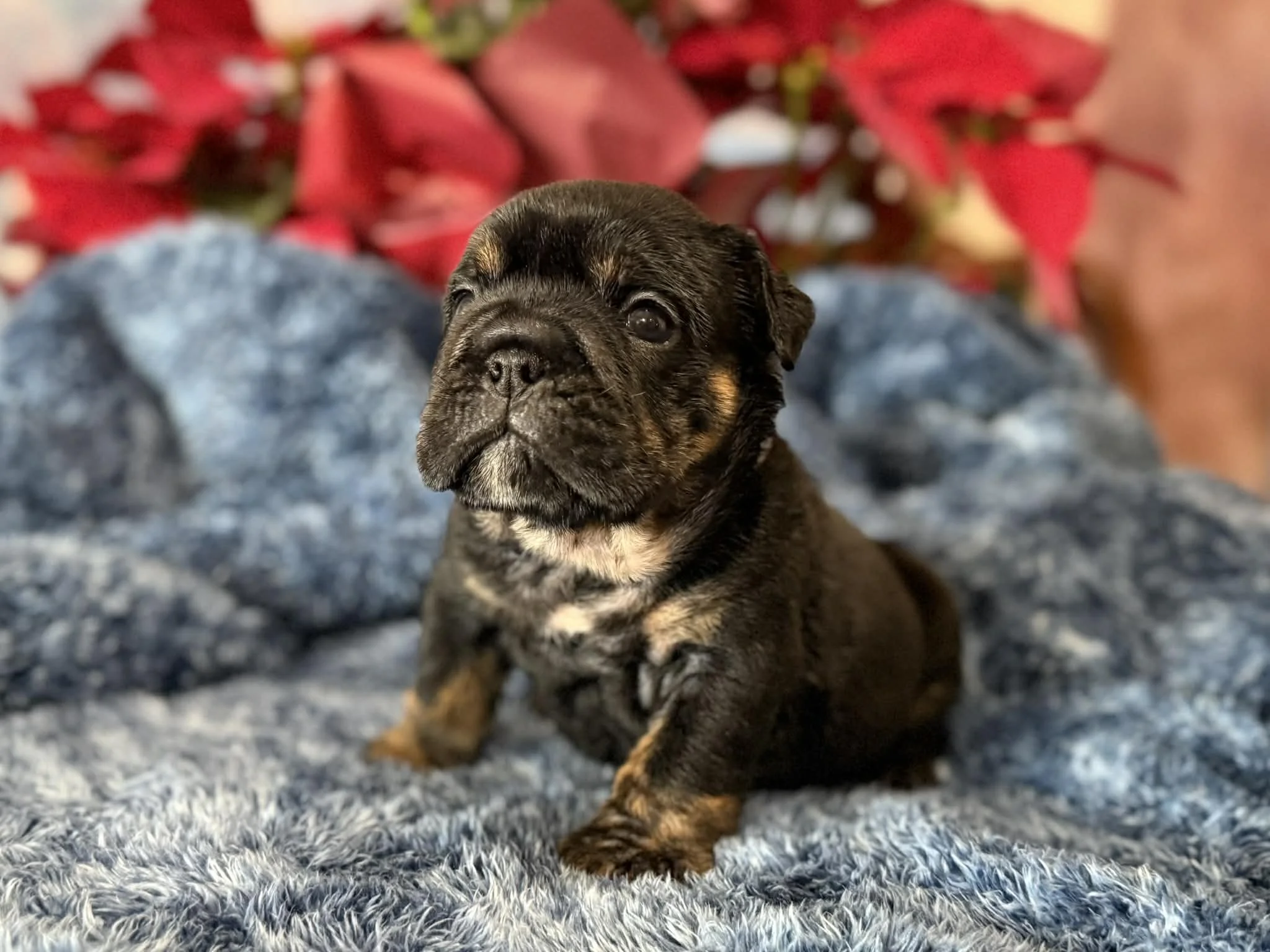 Photo Dec 29 2025, 2 32 23 PM.jpg