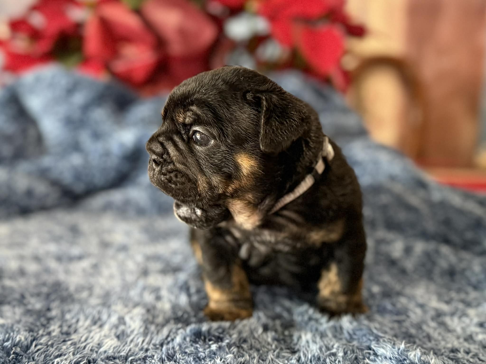 Photo Dec 29 2025, 2 32 24 PM (2).jpg