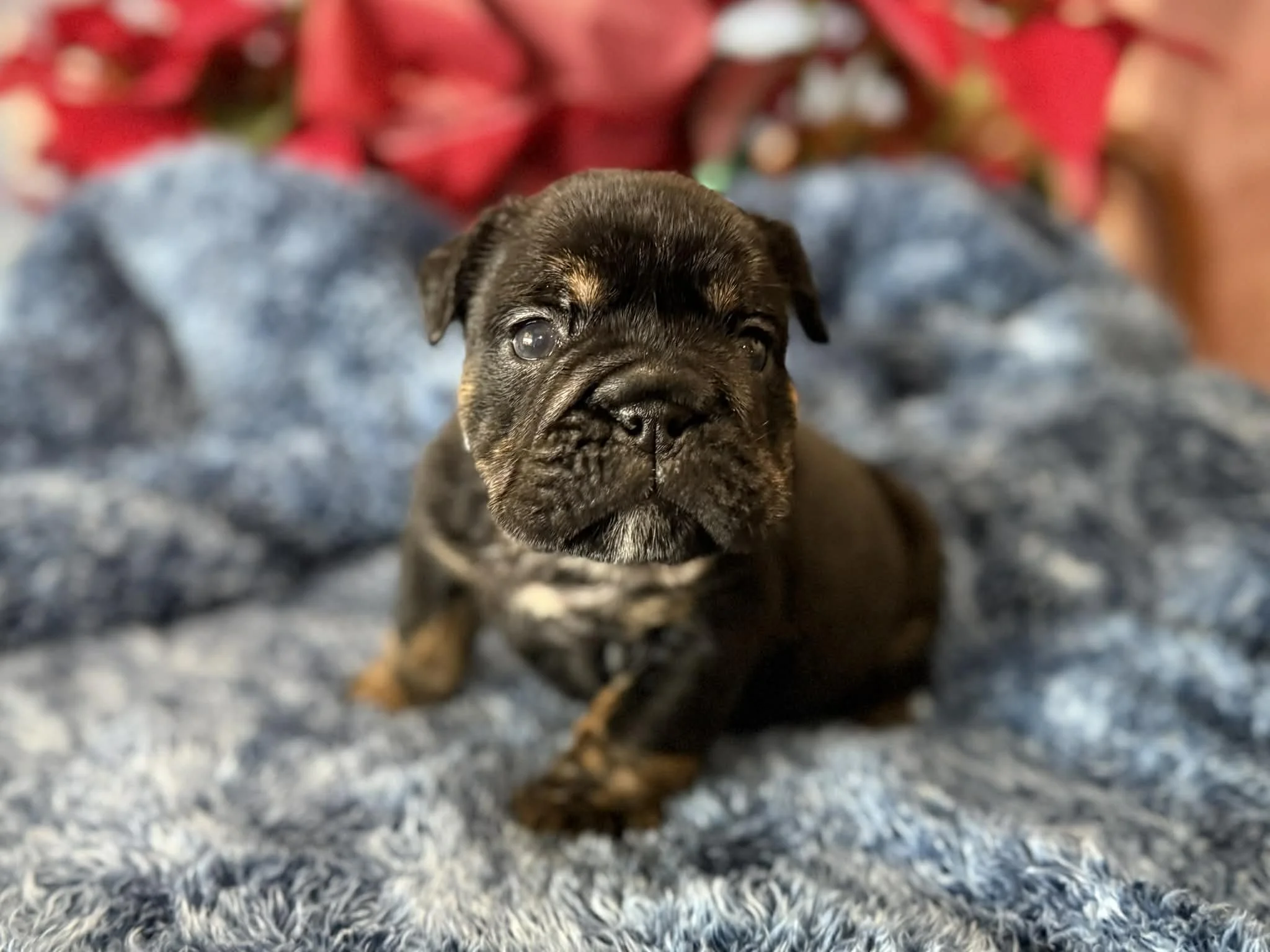 Photo Dec 29 2025, 2 32 24 PM.jpg