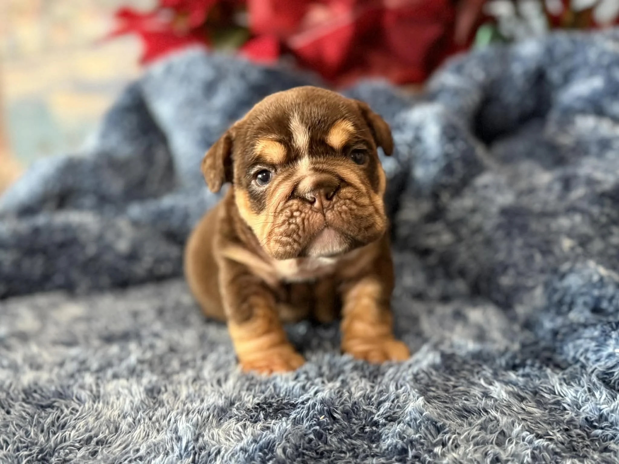 Photo Dec 29 2025, 2 33 08 PM (2).jpg