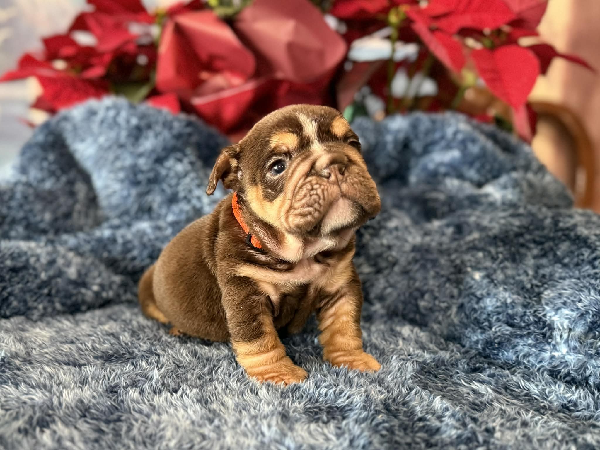 Photo Dec 29 2025, 2 33 08 PM (1).jpg