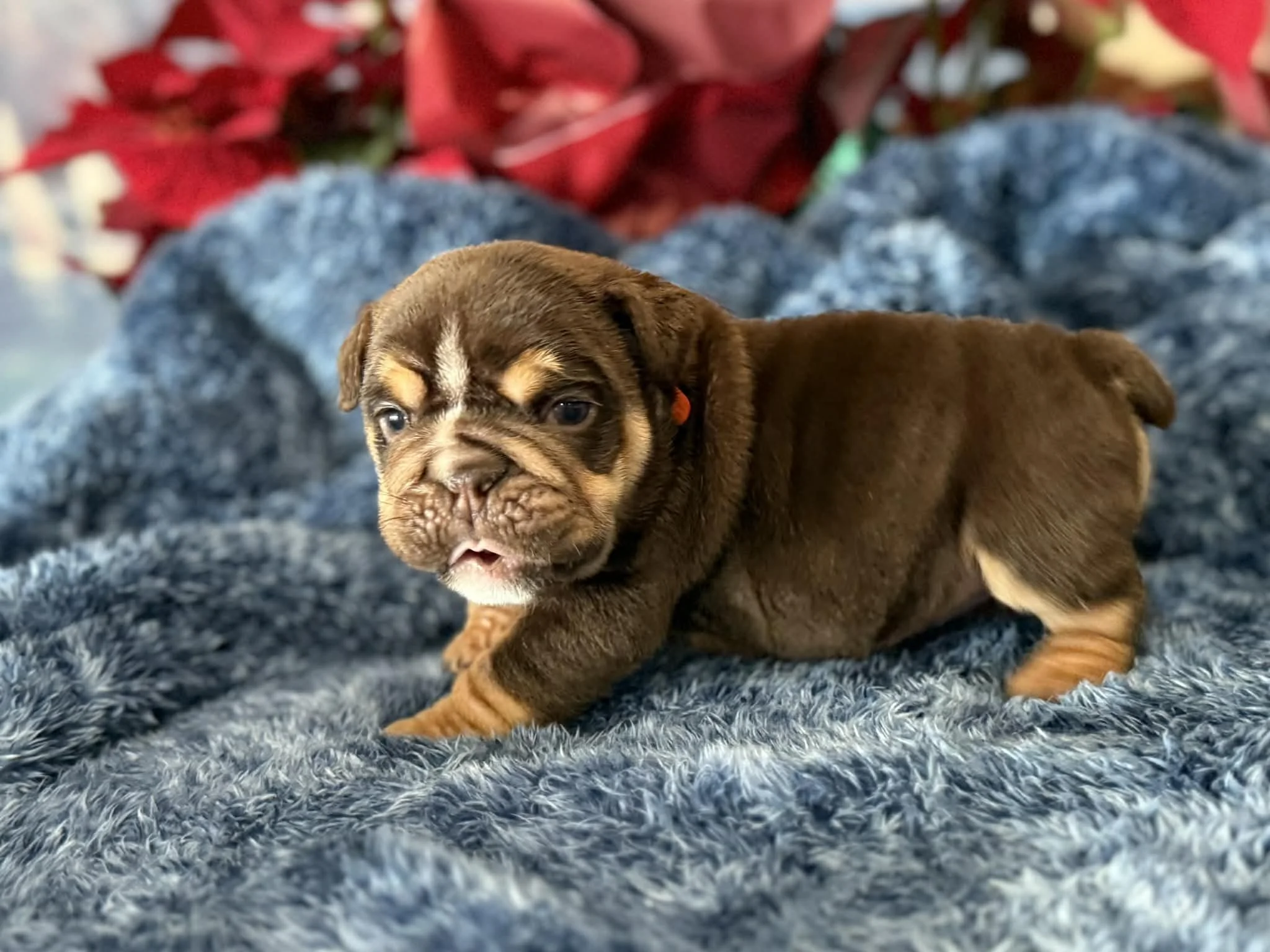 Photo Dec 29 2025, 2 33 08 PM (3).jpg