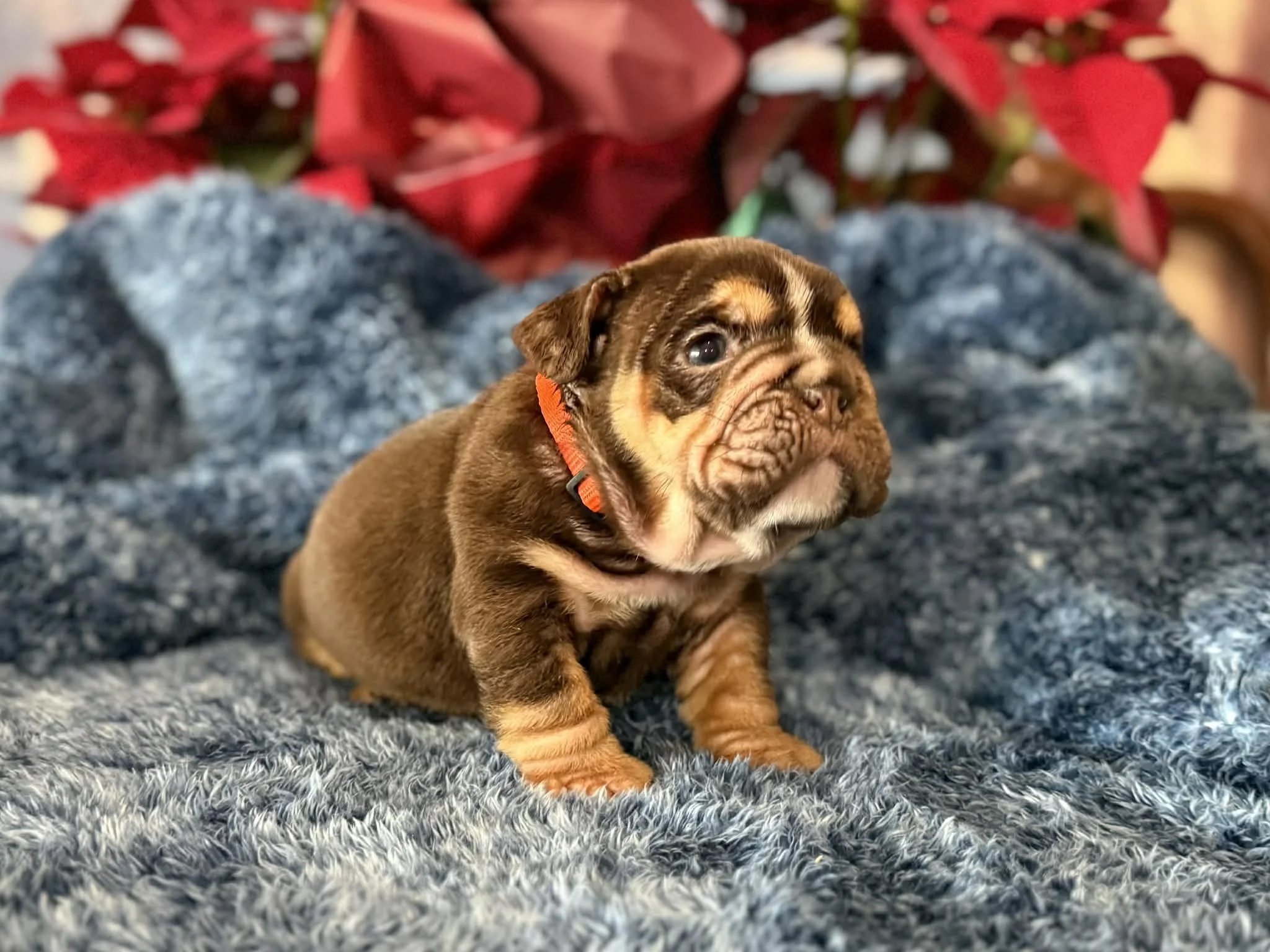 Photo Dec 29 2025, 2 33 08 PM (4).jpg